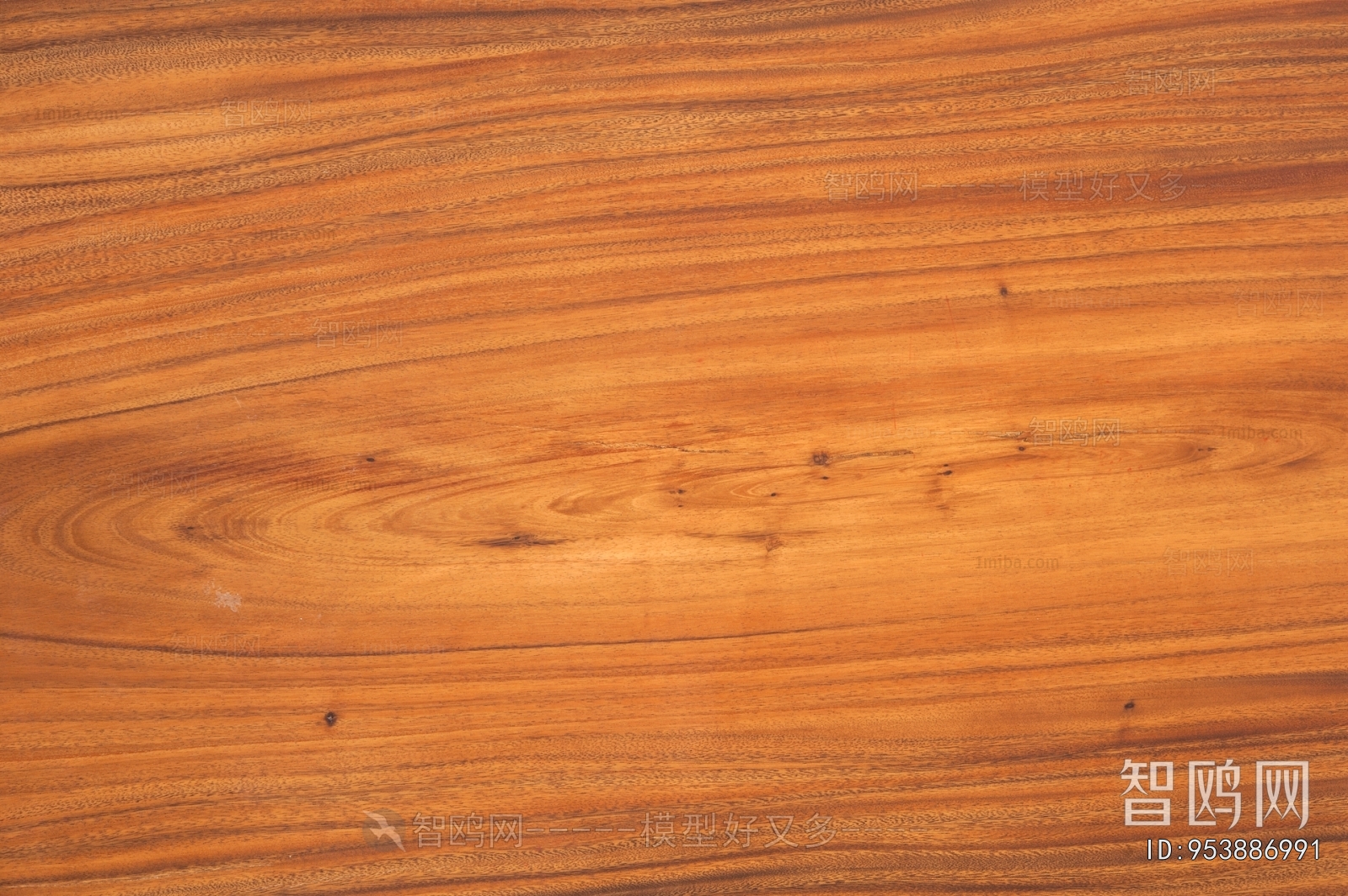 Wood Texture