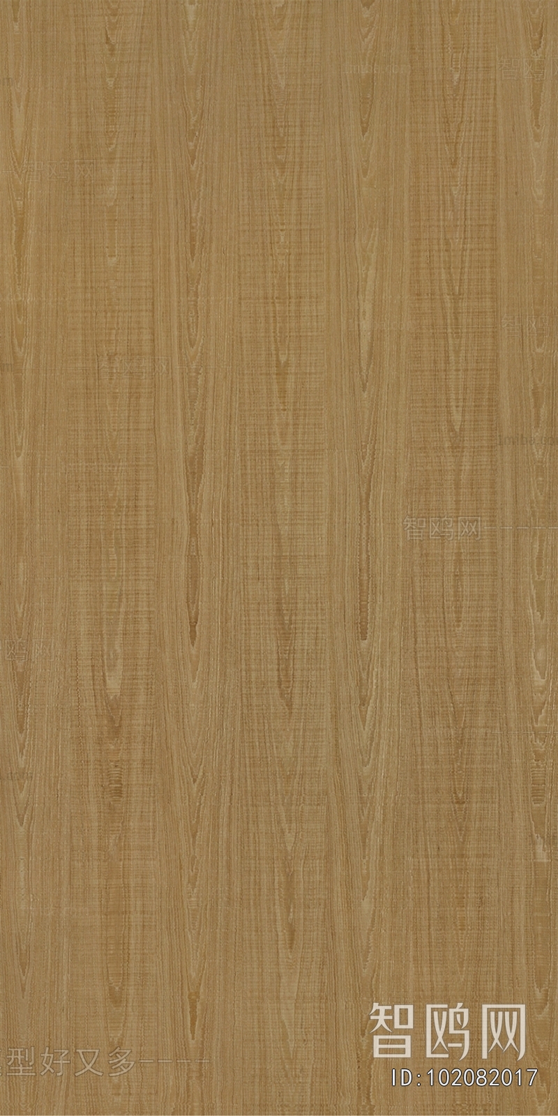 Wood Texture