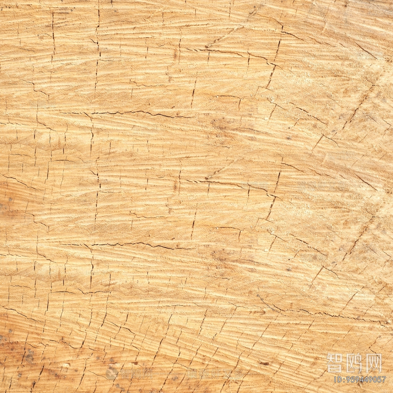 Wood Texture