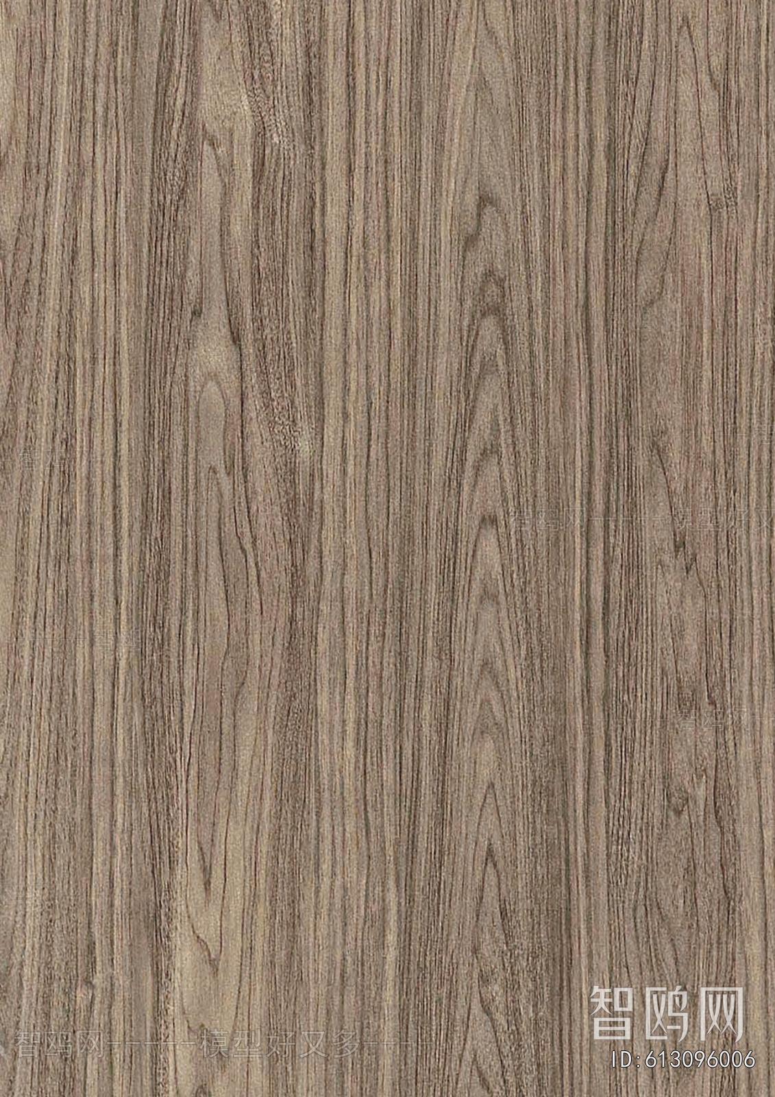 Wood Texture