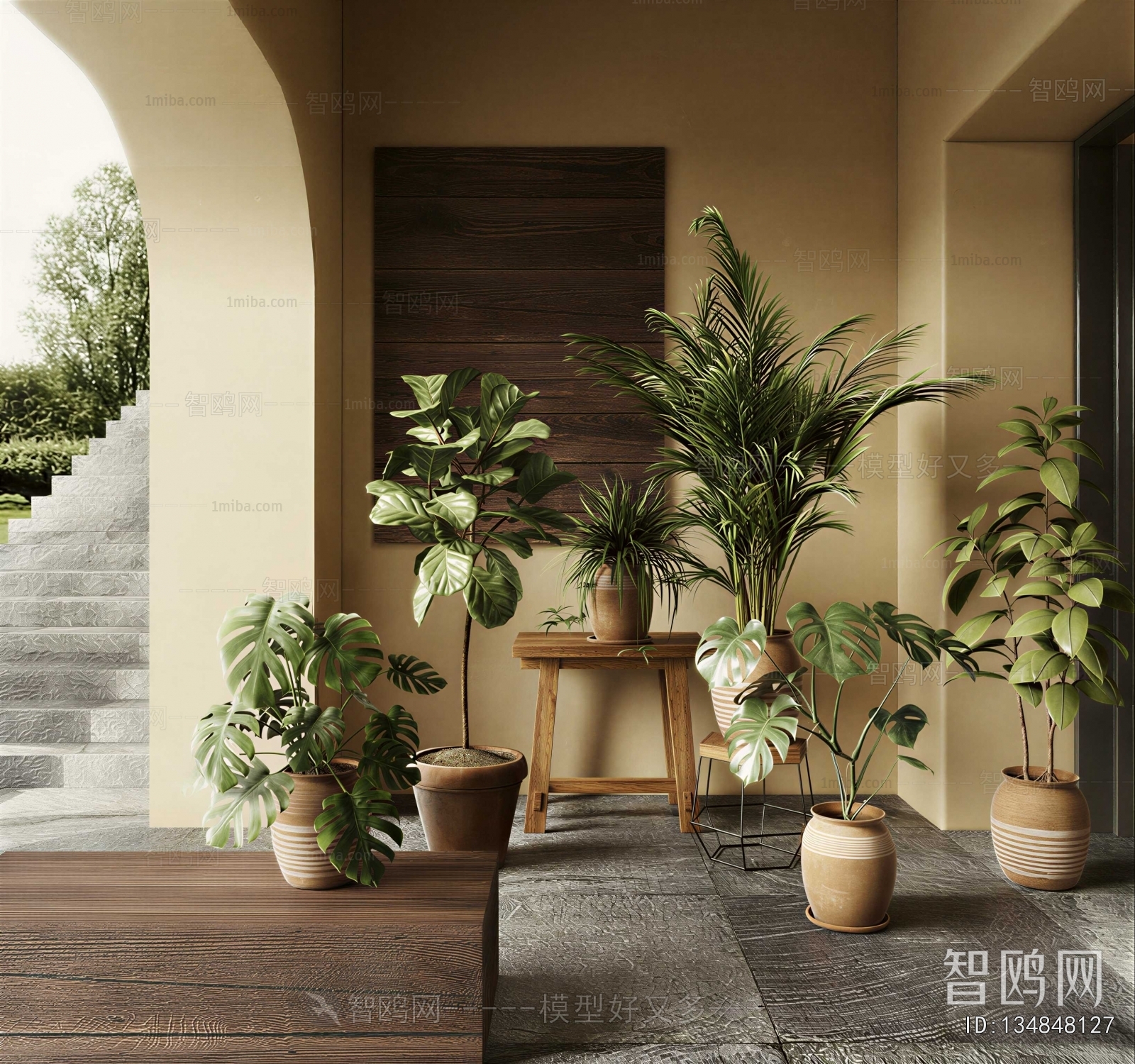 Wabi-sabi Style Potted Green Plant