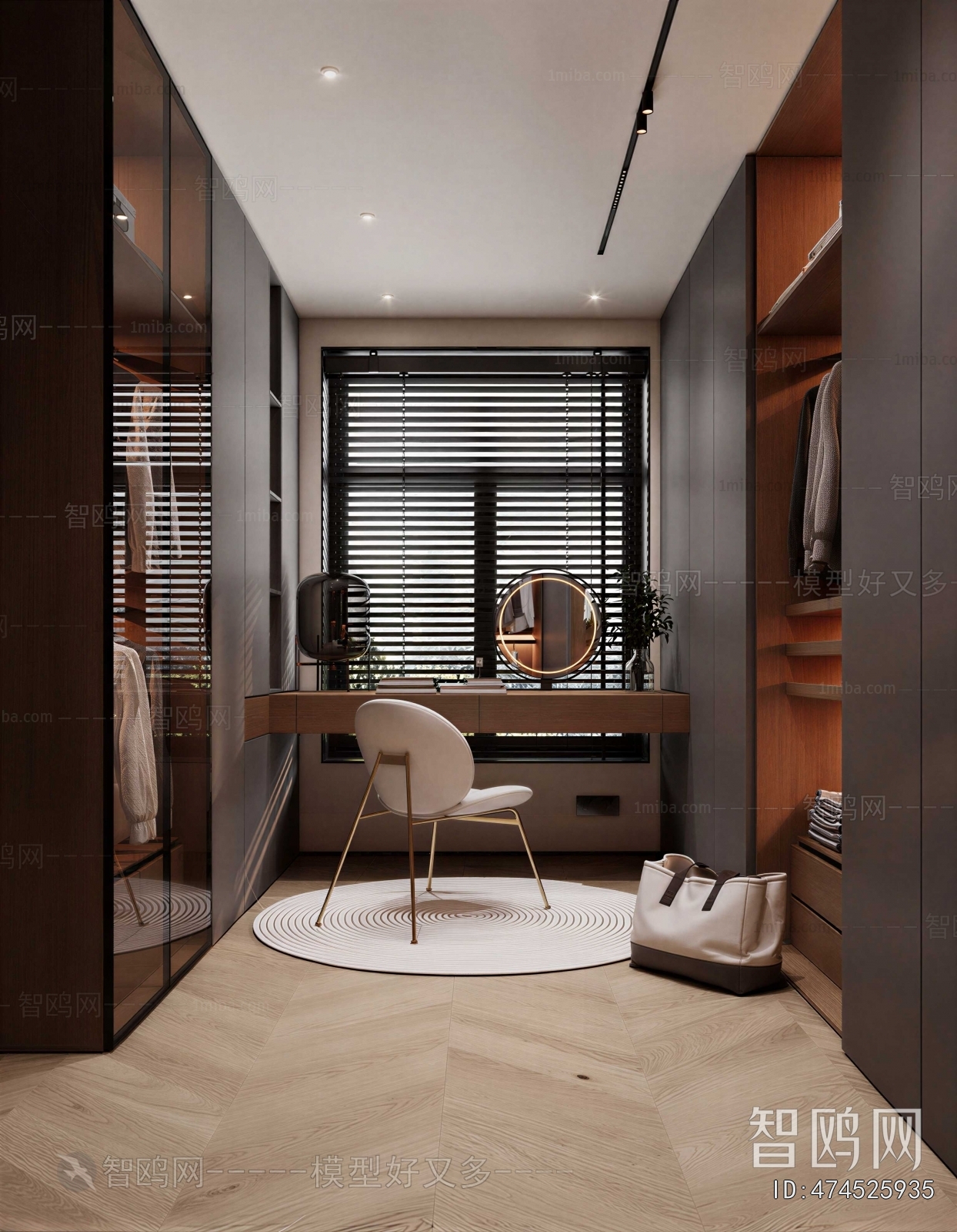 Modern Clothes Storage Area