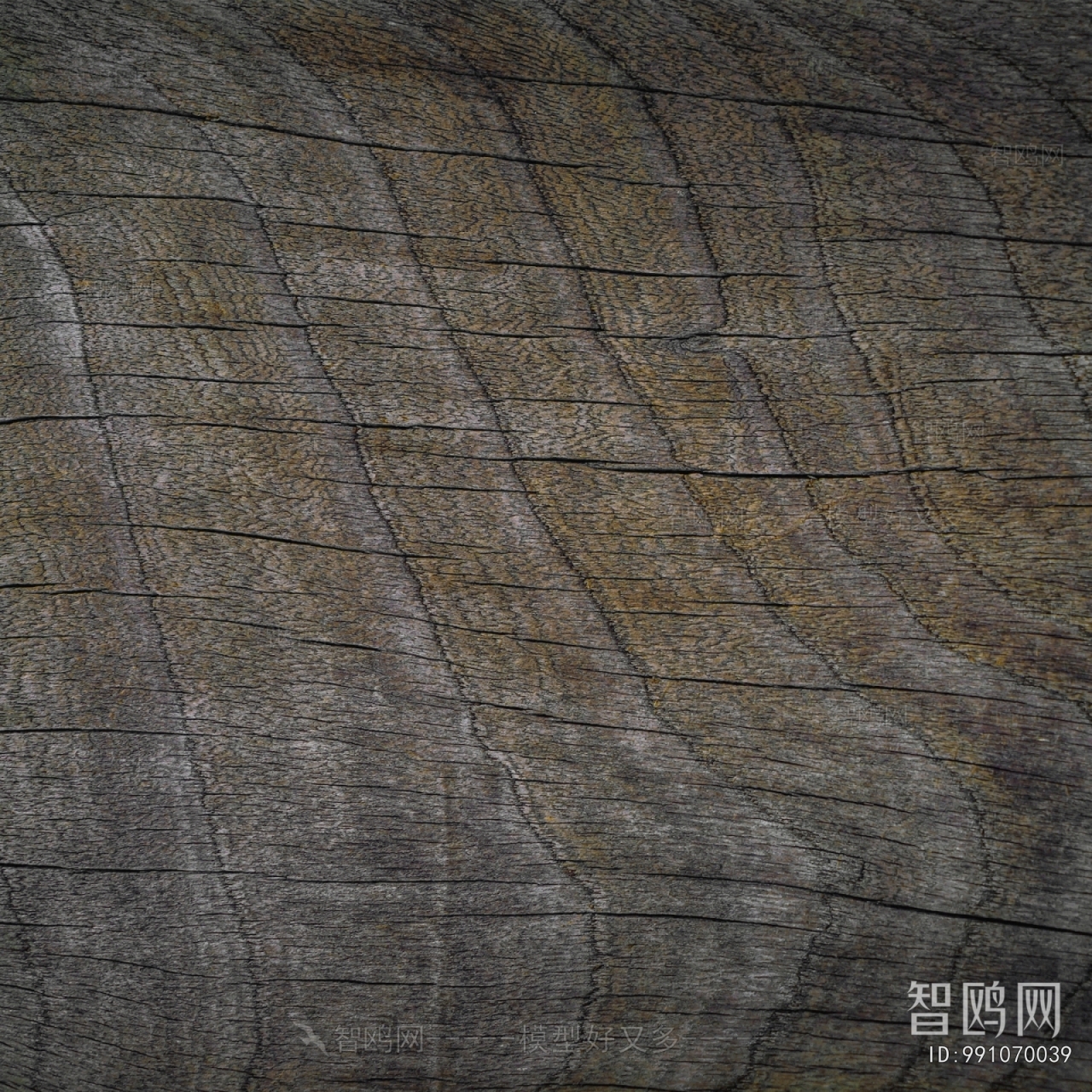 Wood Texture