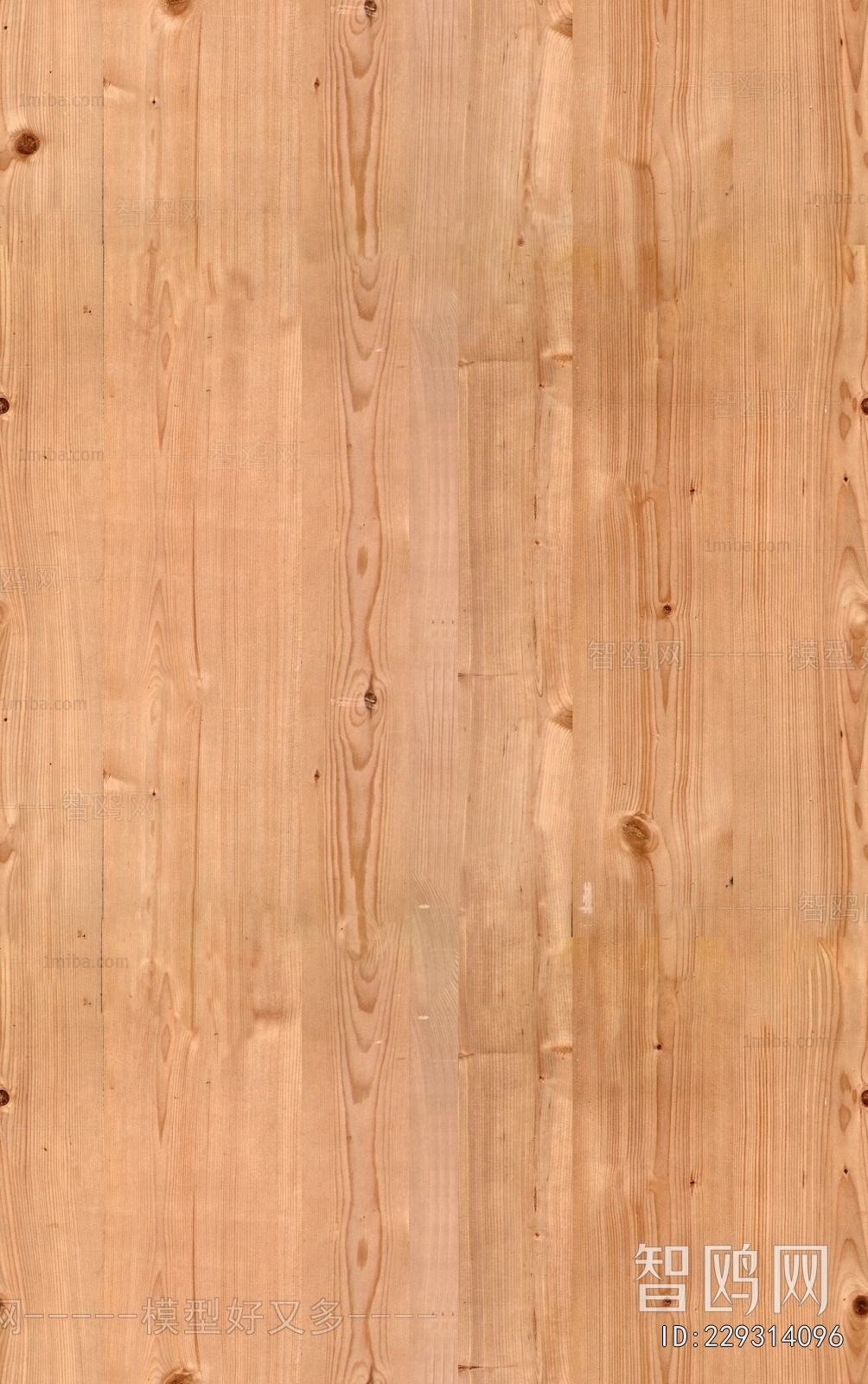 Wood Texture