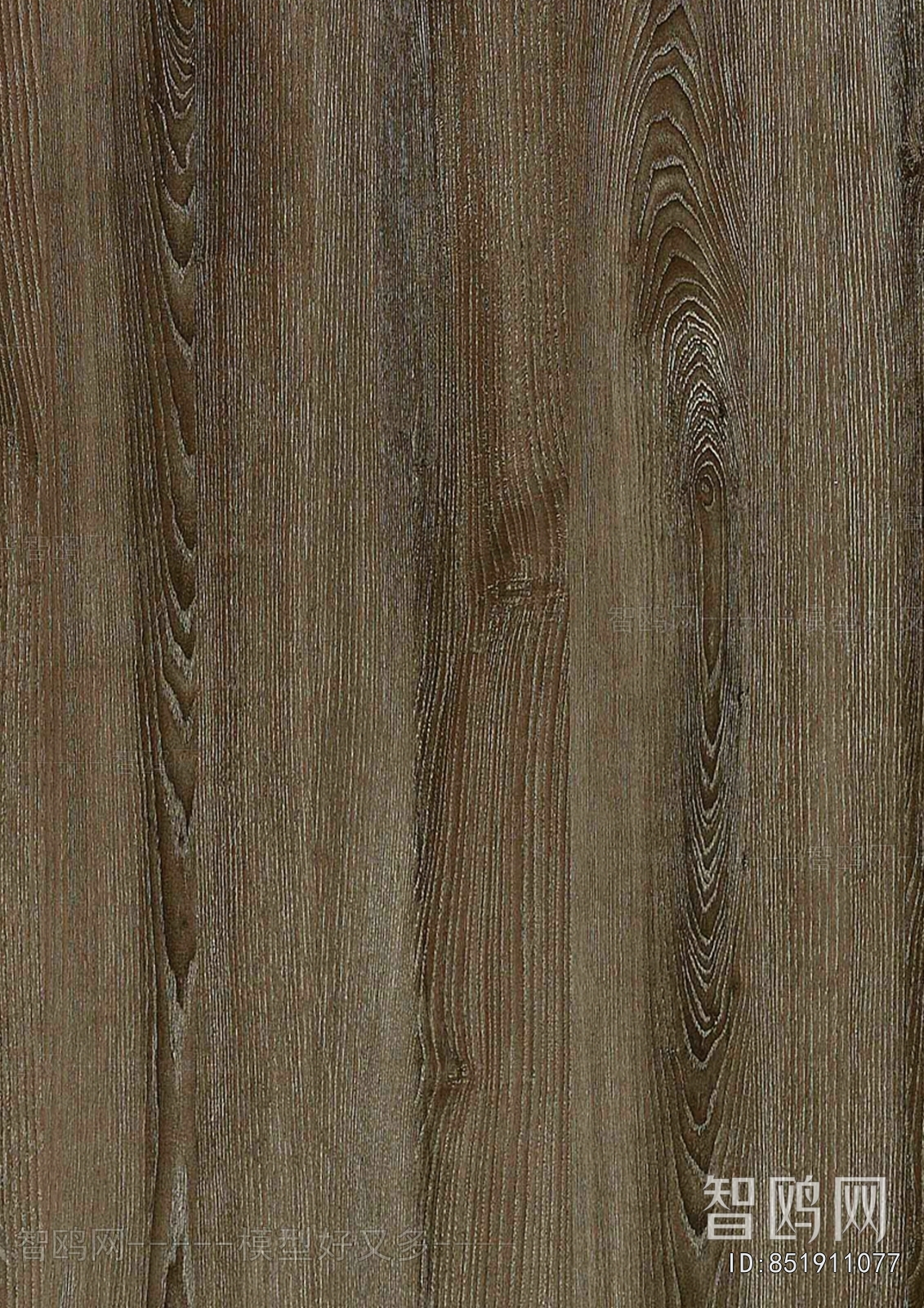 Wood Texture