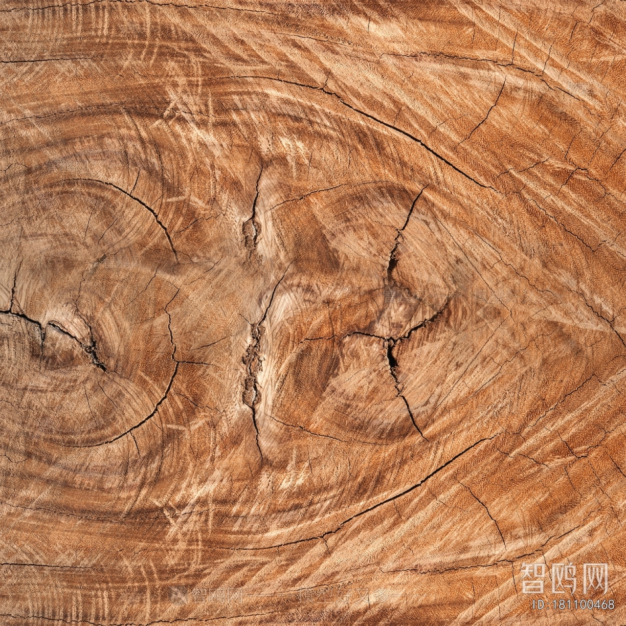 Wood Texture