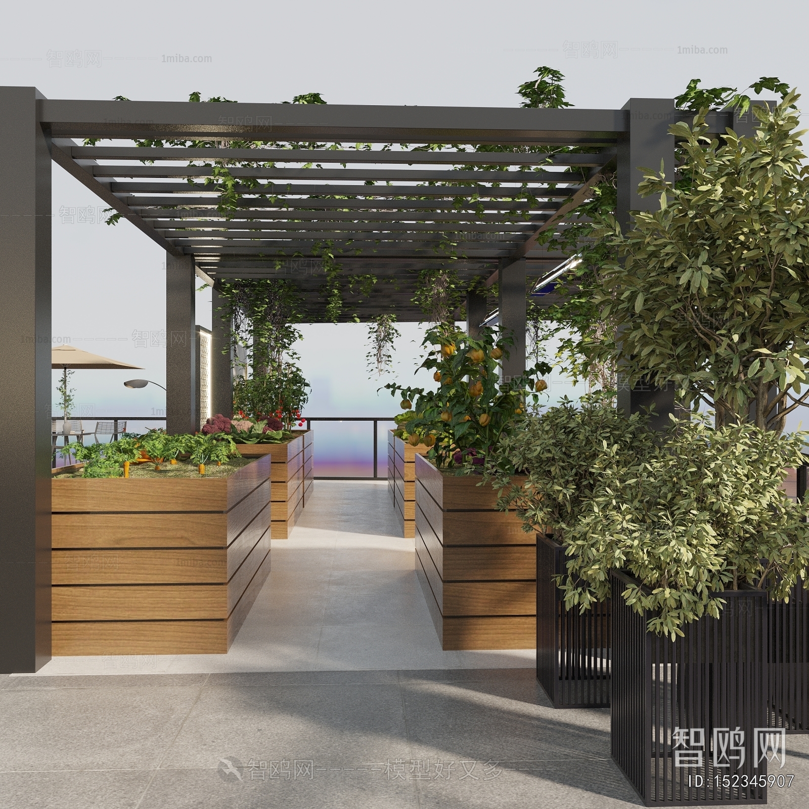 Modern Courtyard/landscape