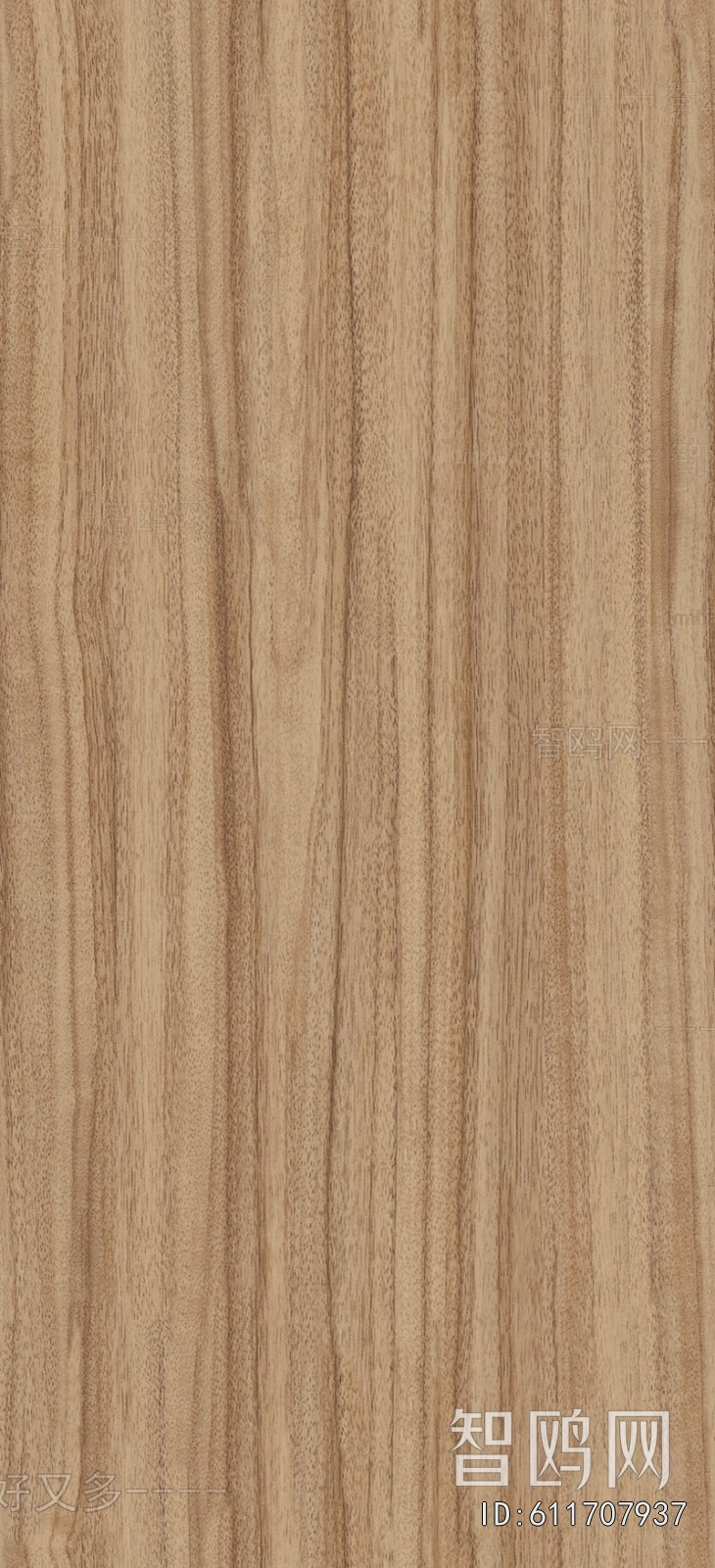 Wood Texture