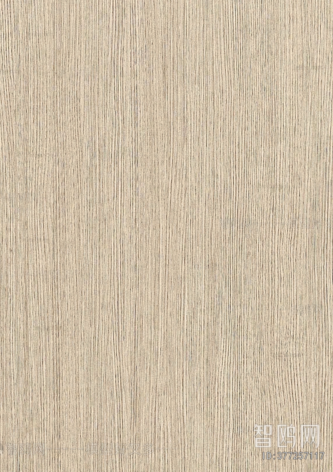 Wood Texture