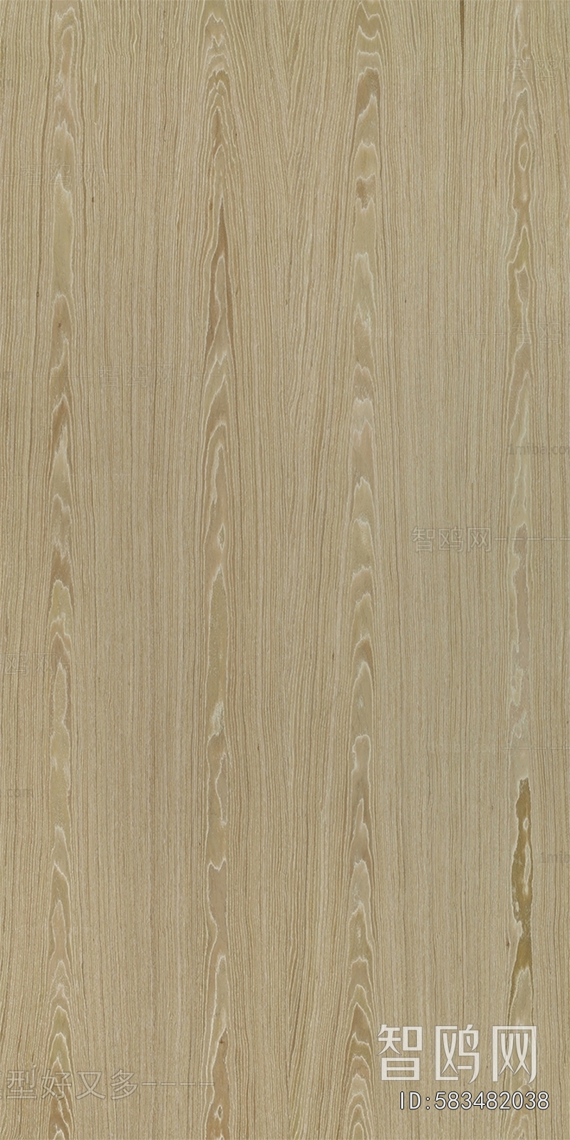 Wood Texture