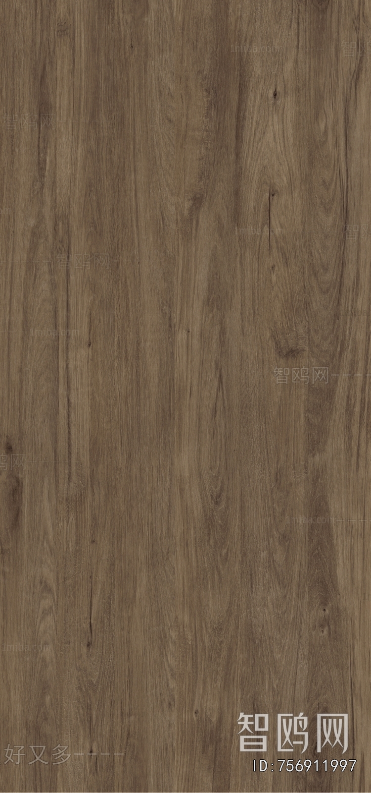 Wood Texture