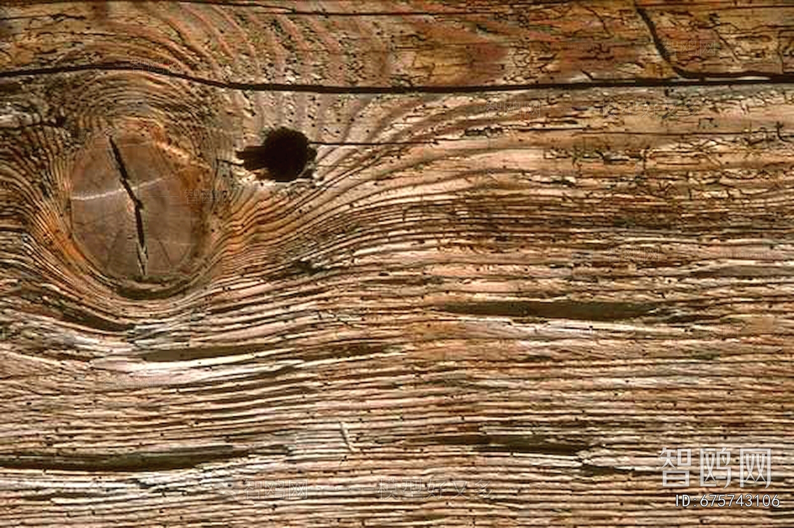 Wood Texture