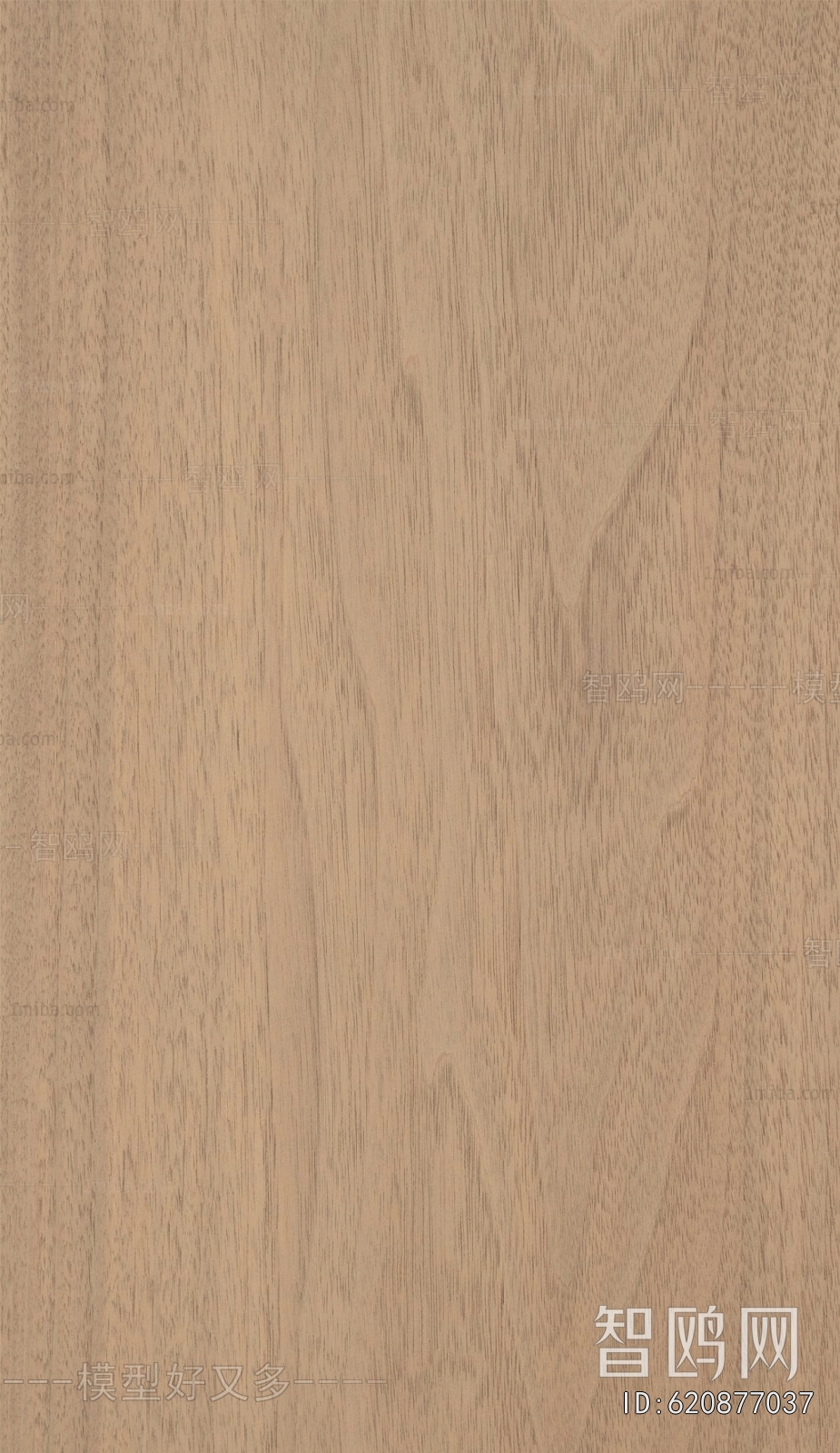 Wood Texture