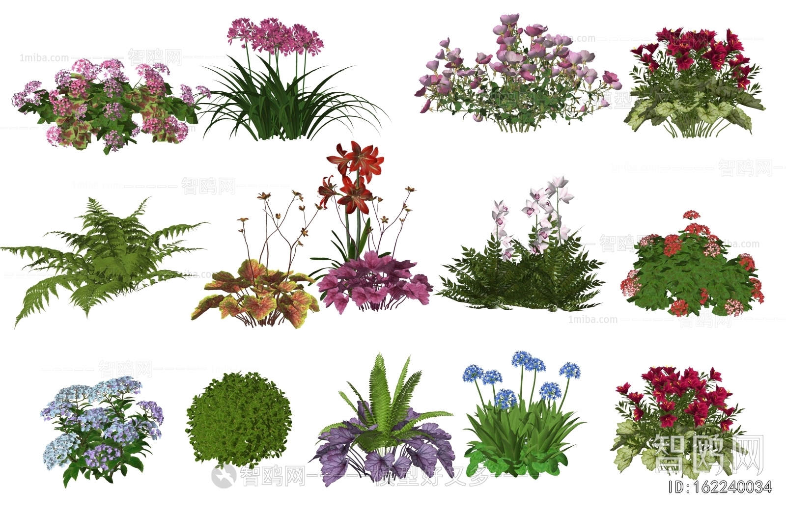 Modern Flowers And Grass