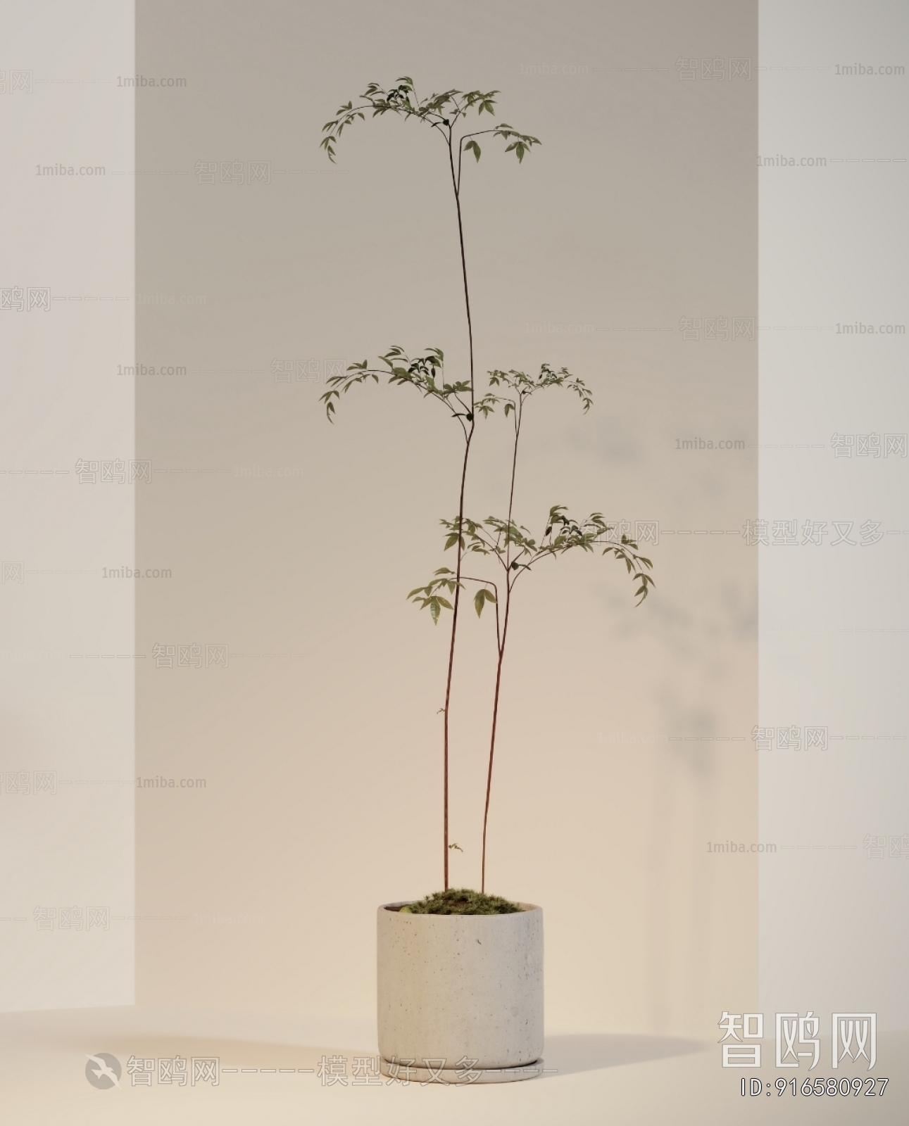 Modern Ground Green Plant Potted Plants