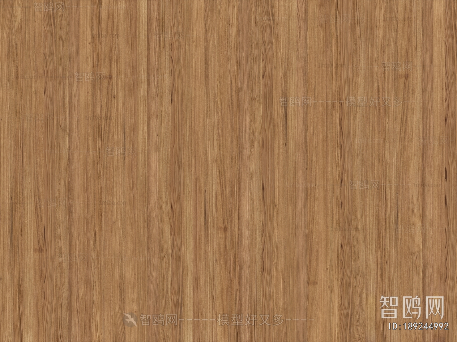 Wood Texture