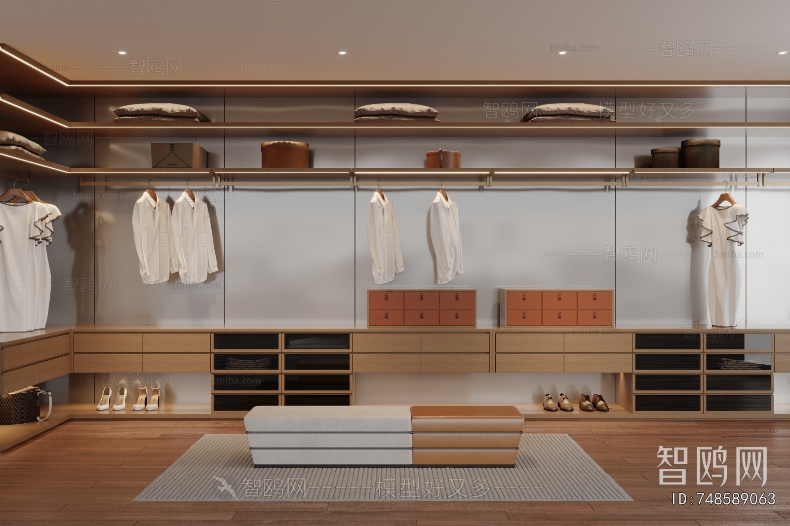 Modern Clothes Storage Area