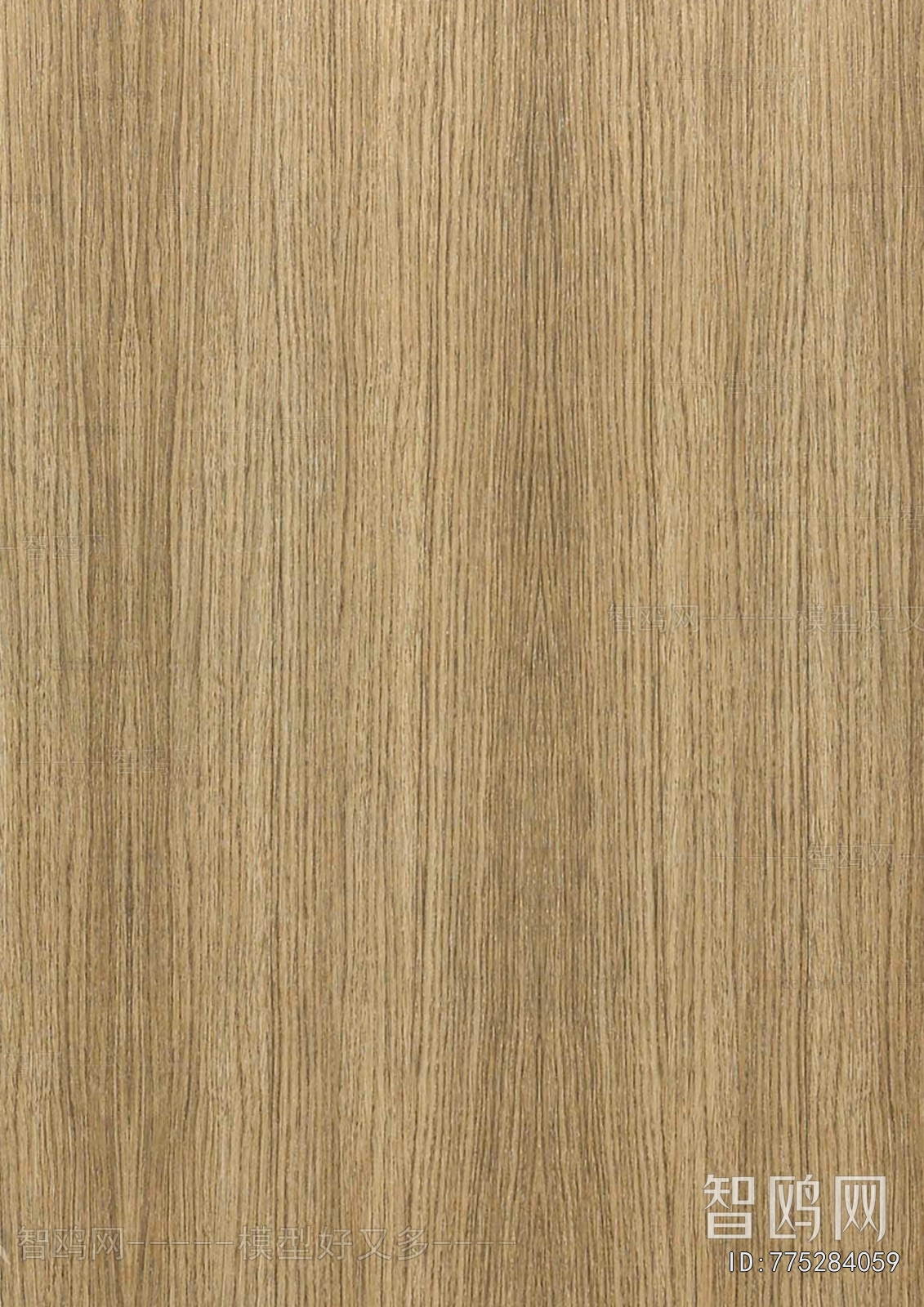 Wood Texture