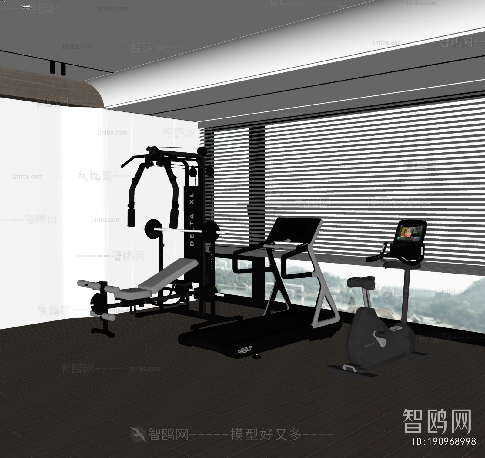 Modern Home Fitness Room