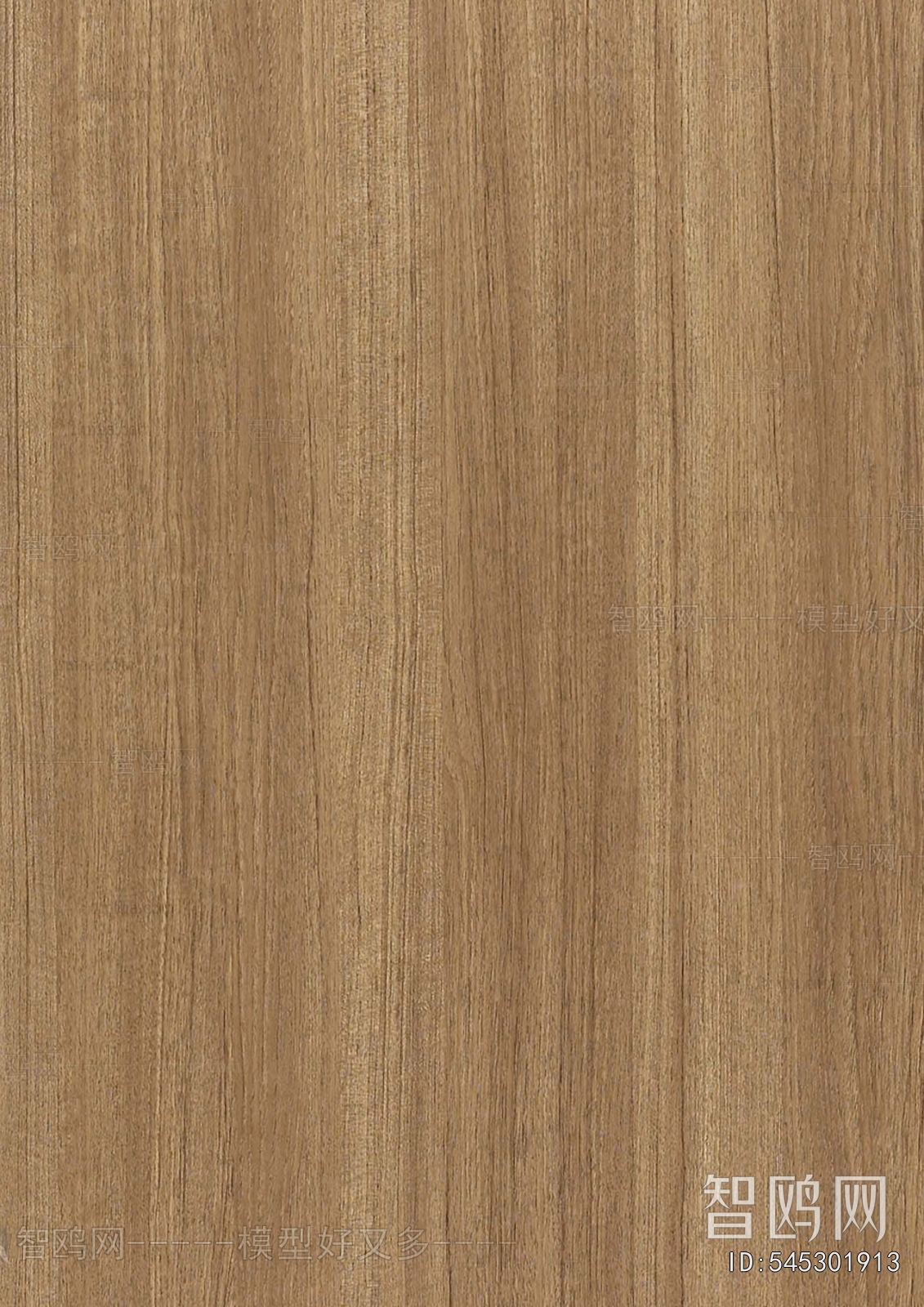 Wood Texture