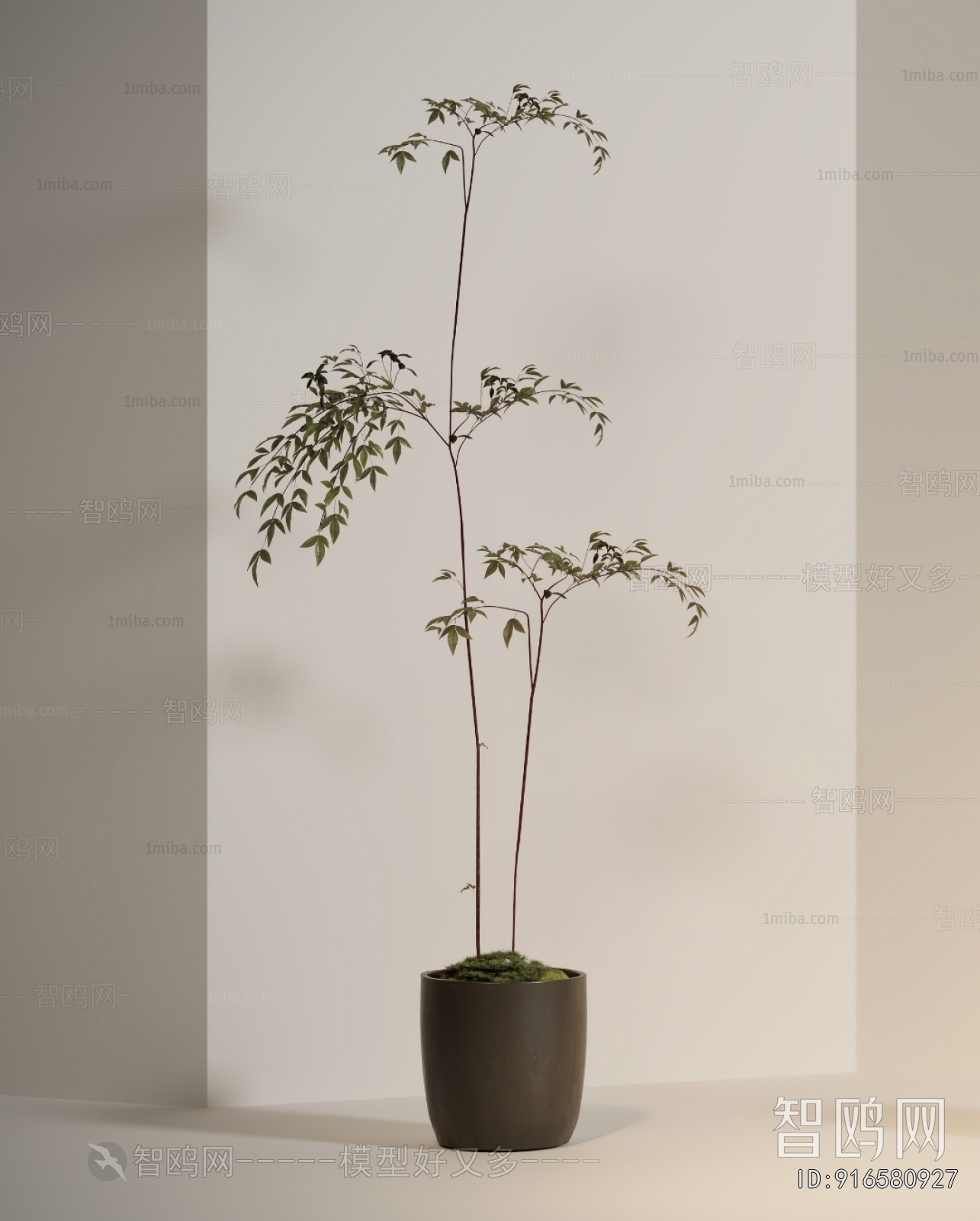 Modern Ground Green Plant Potted Plants