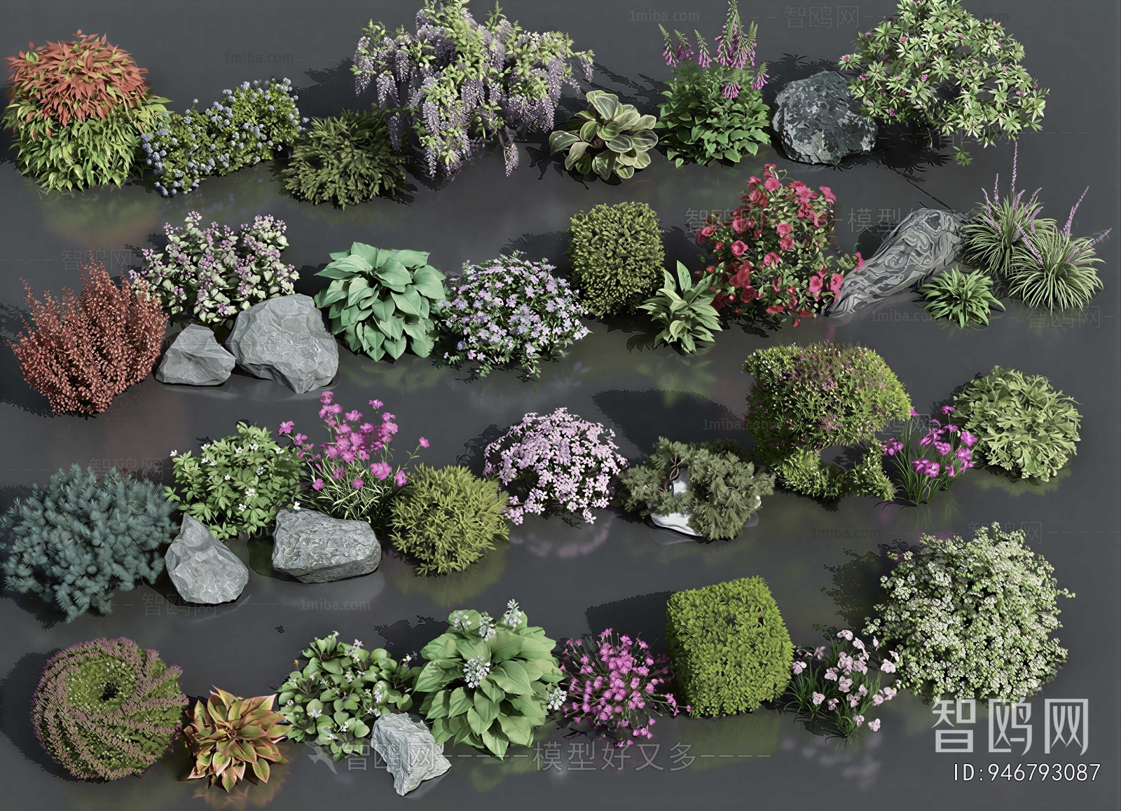 Modern Flowers And Grass