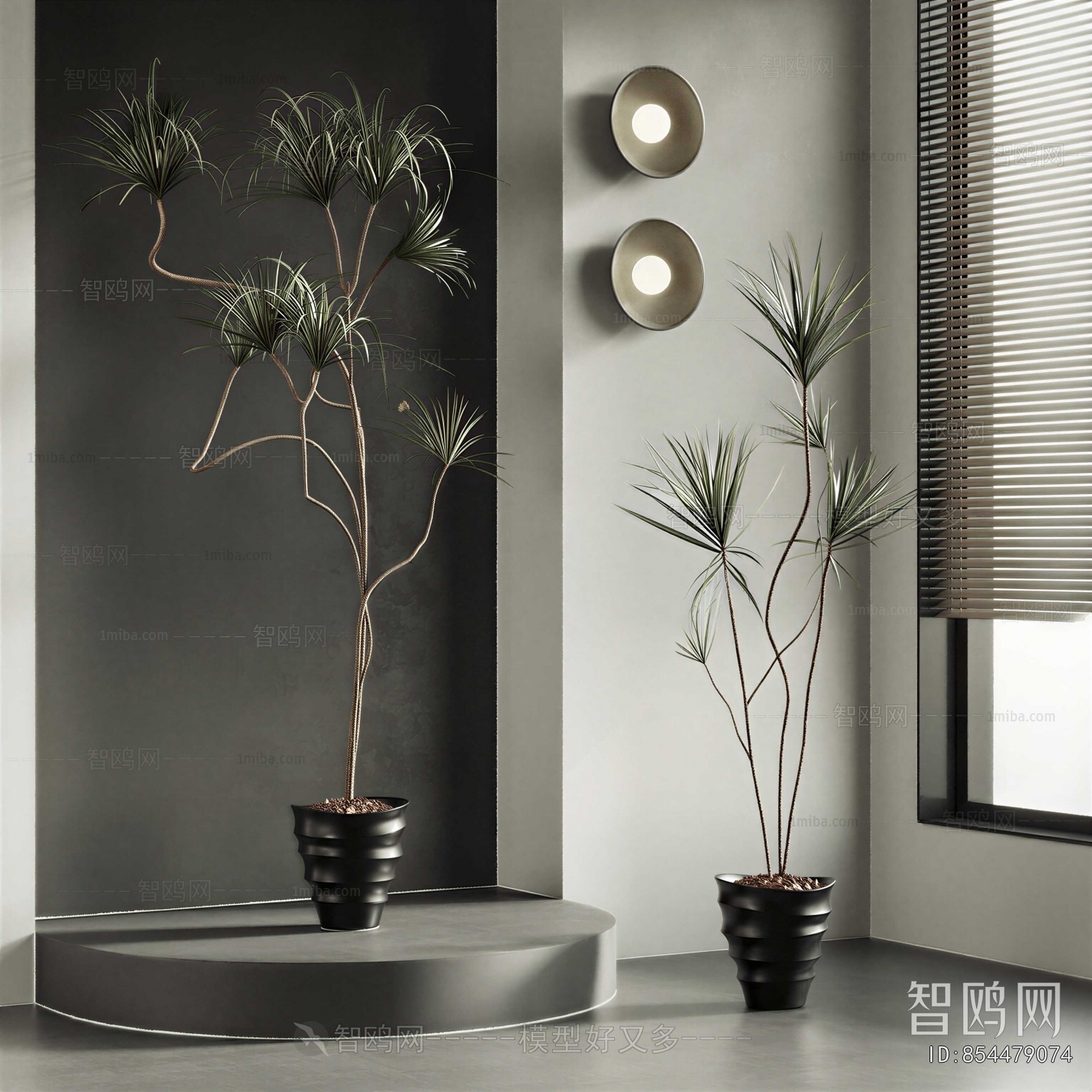 Modern Ground Green Plant Potted Plants
