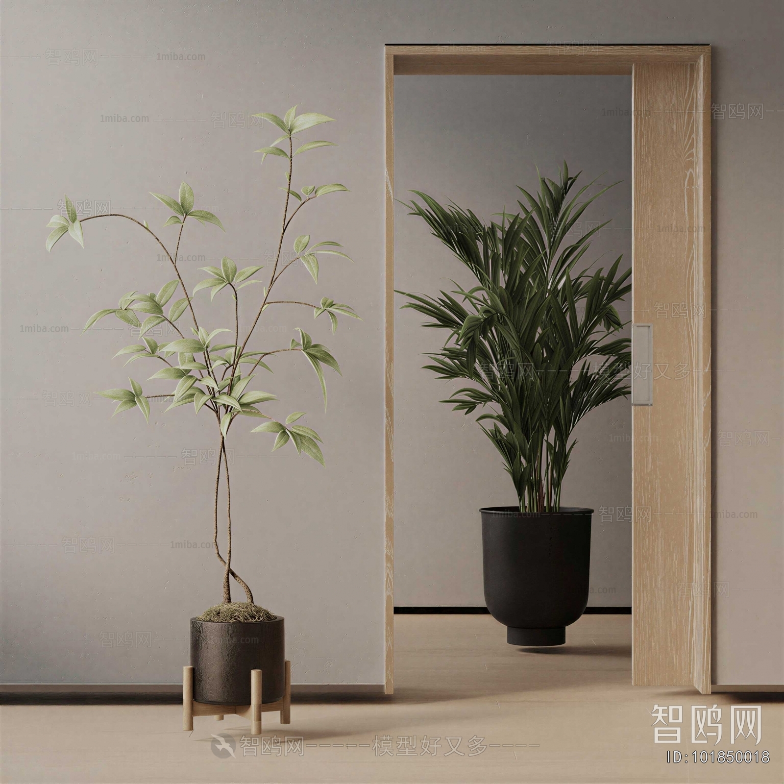 Modern Ground Green Plant Potted Plants