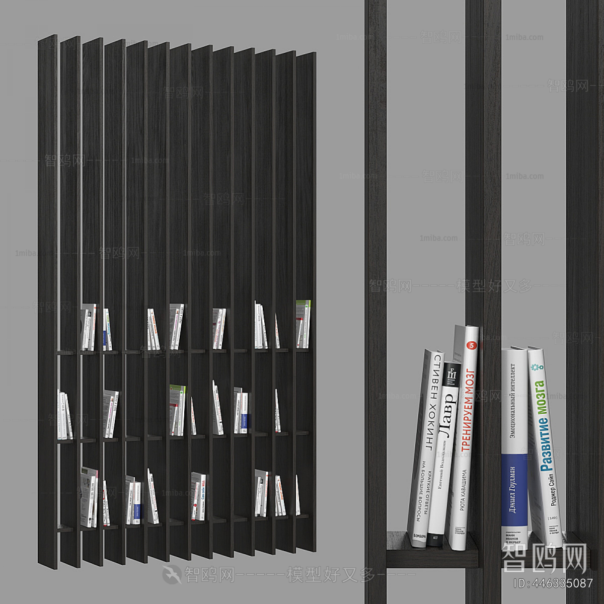 Modern Bookshelf