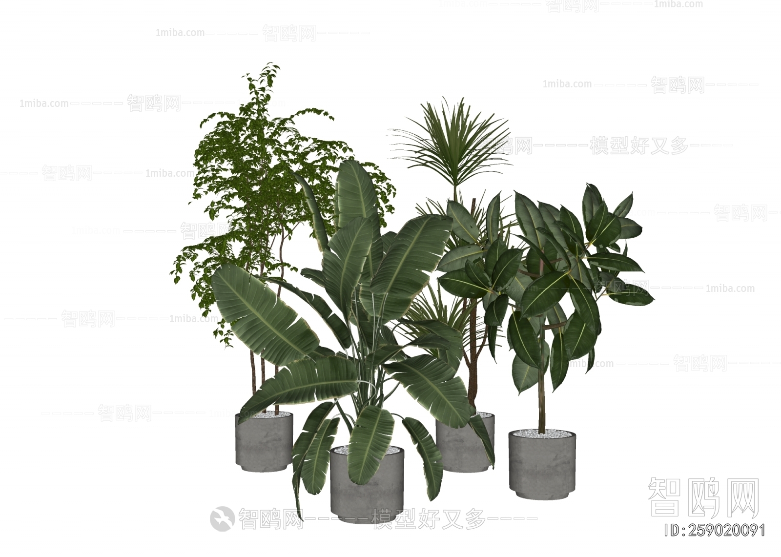 Modern Ground Green Plant Potted Plants