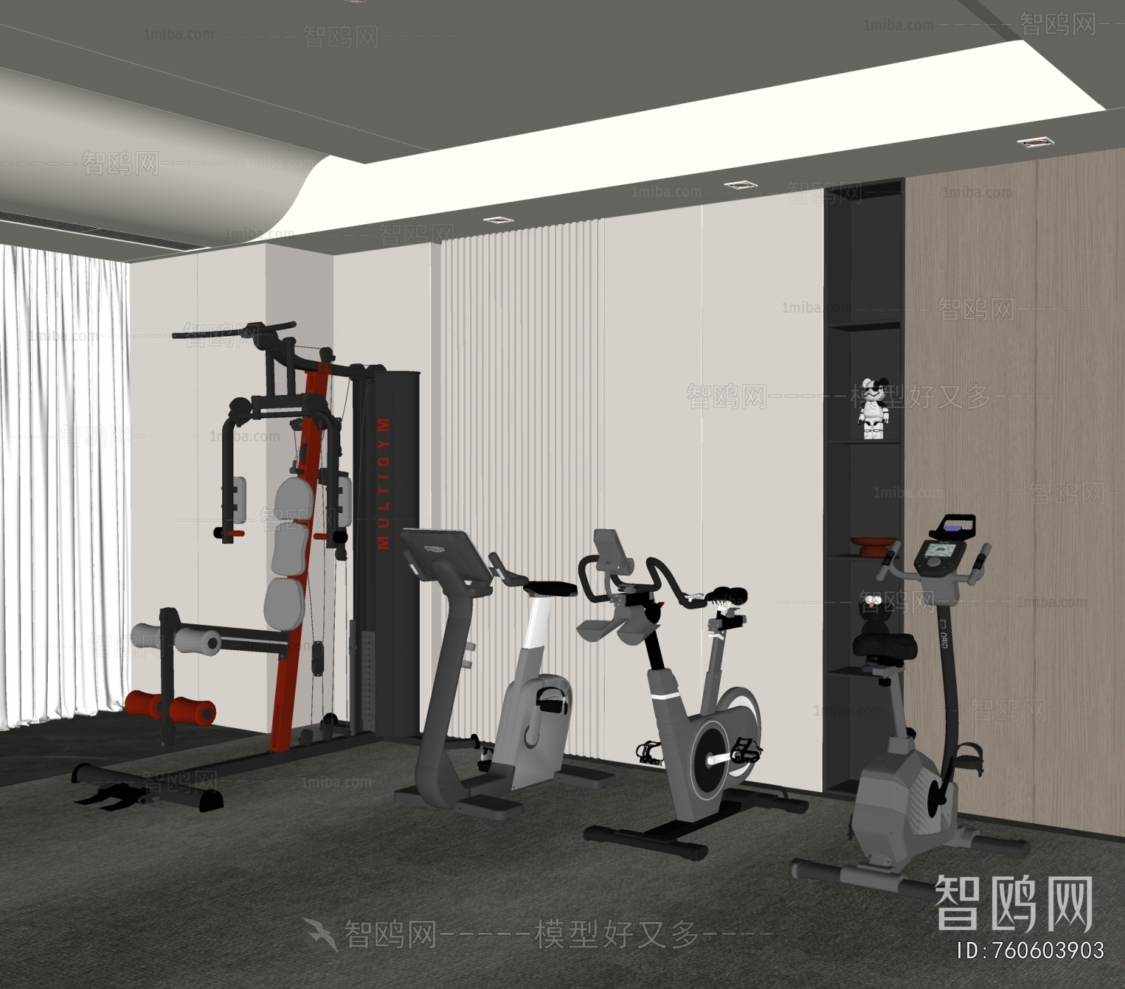 Modern Home Fitness Room