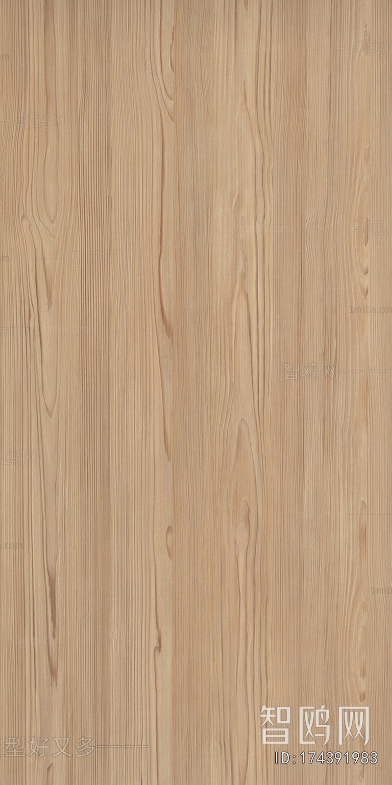 Wood Texture