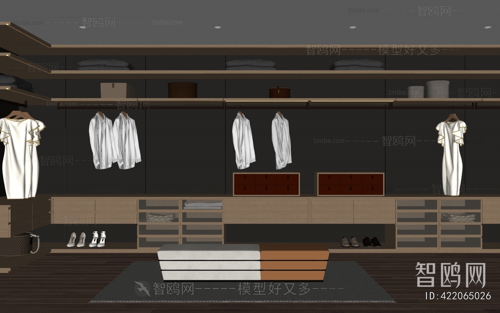 Modern Clothes Storage Area