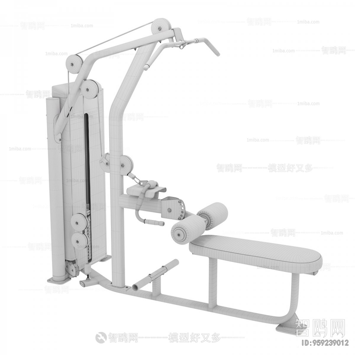 Modern Fitness Equipment