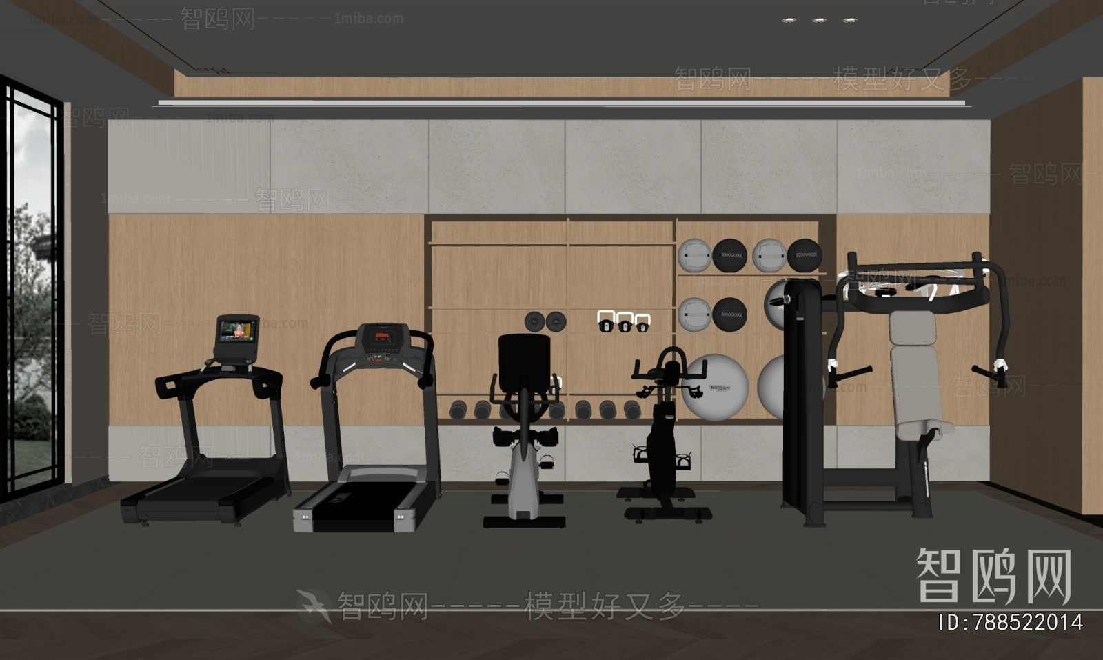 Modern Home Fitness Room