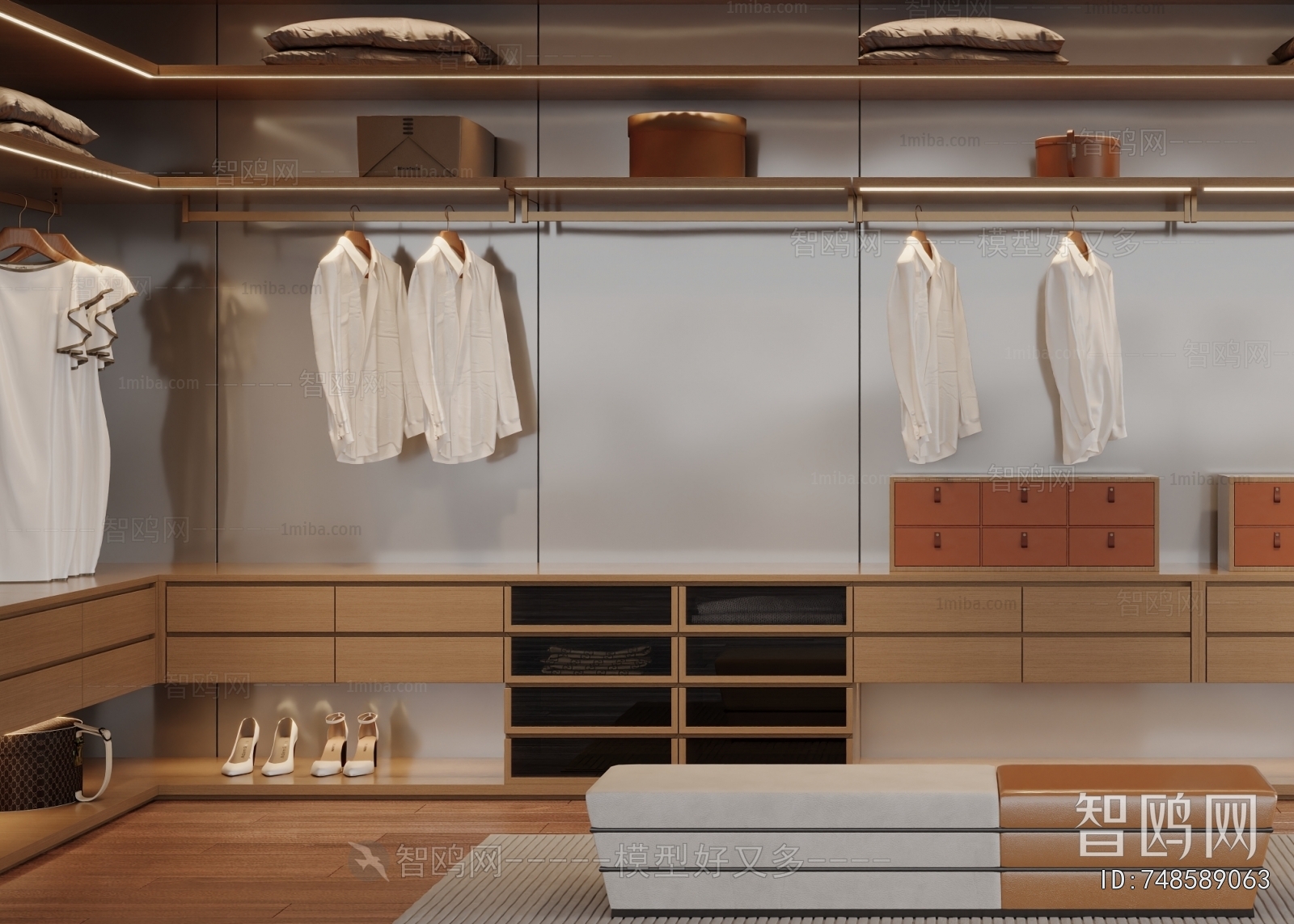 Modern Clothes Storage Area