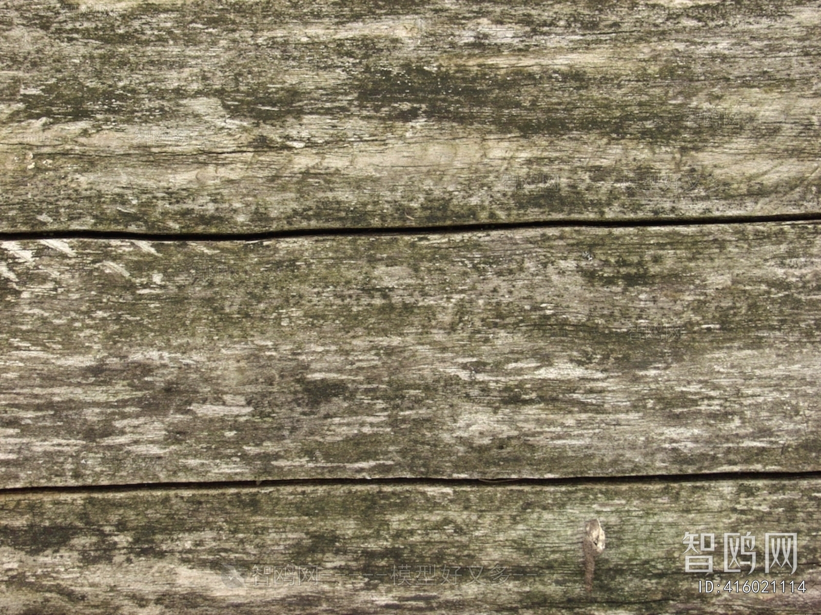 Wood Texture