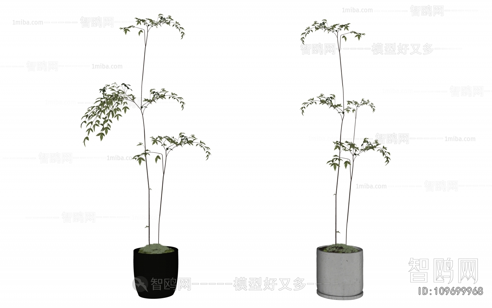 Modern Ground Green Plant Potted Plants