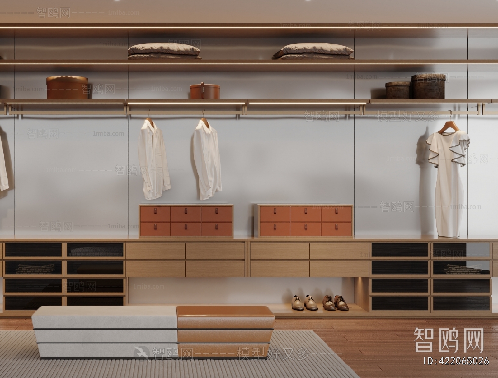 Modern Clothes Storage Area