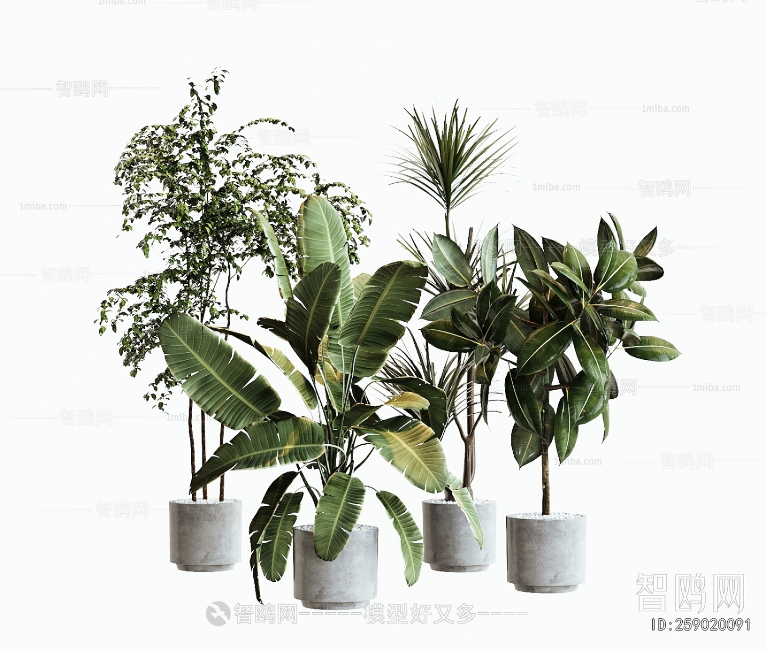 Modern Ground Green Plant Potted Plants