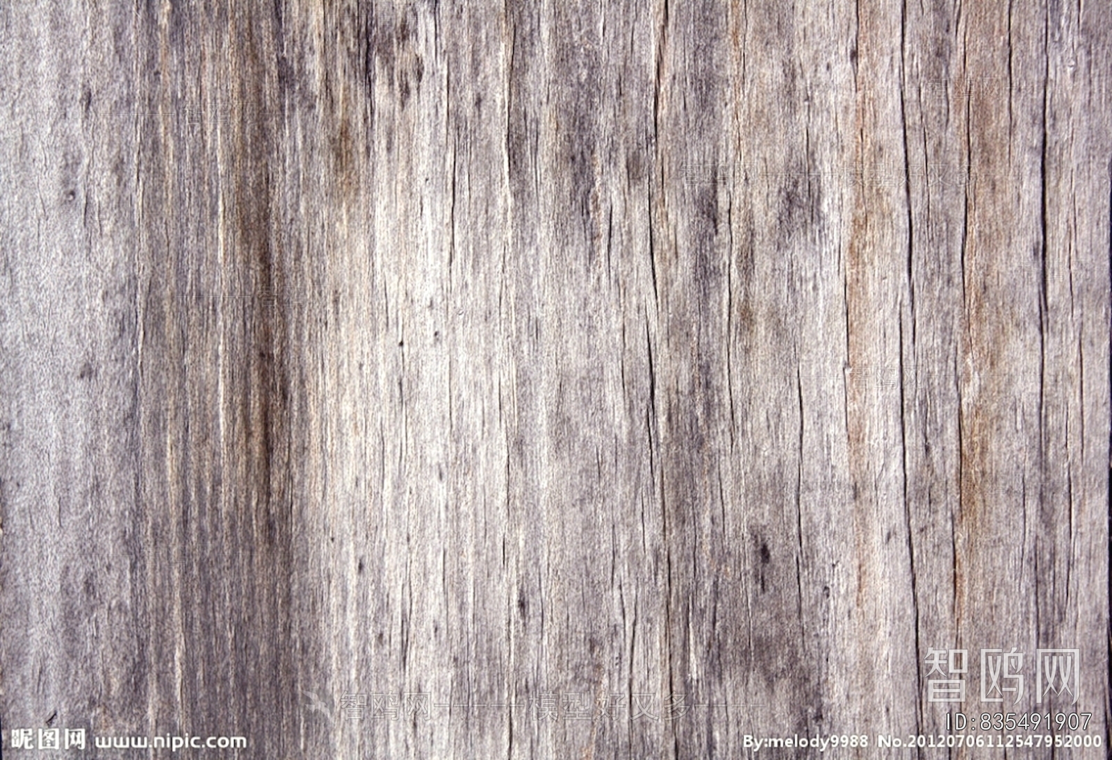 Wood Texture