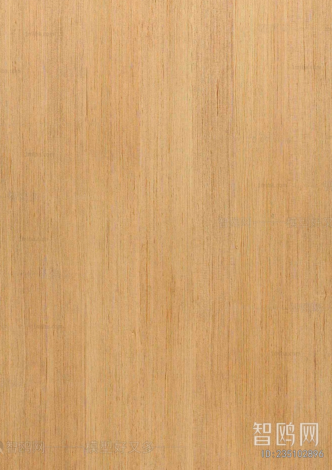Wood Texture