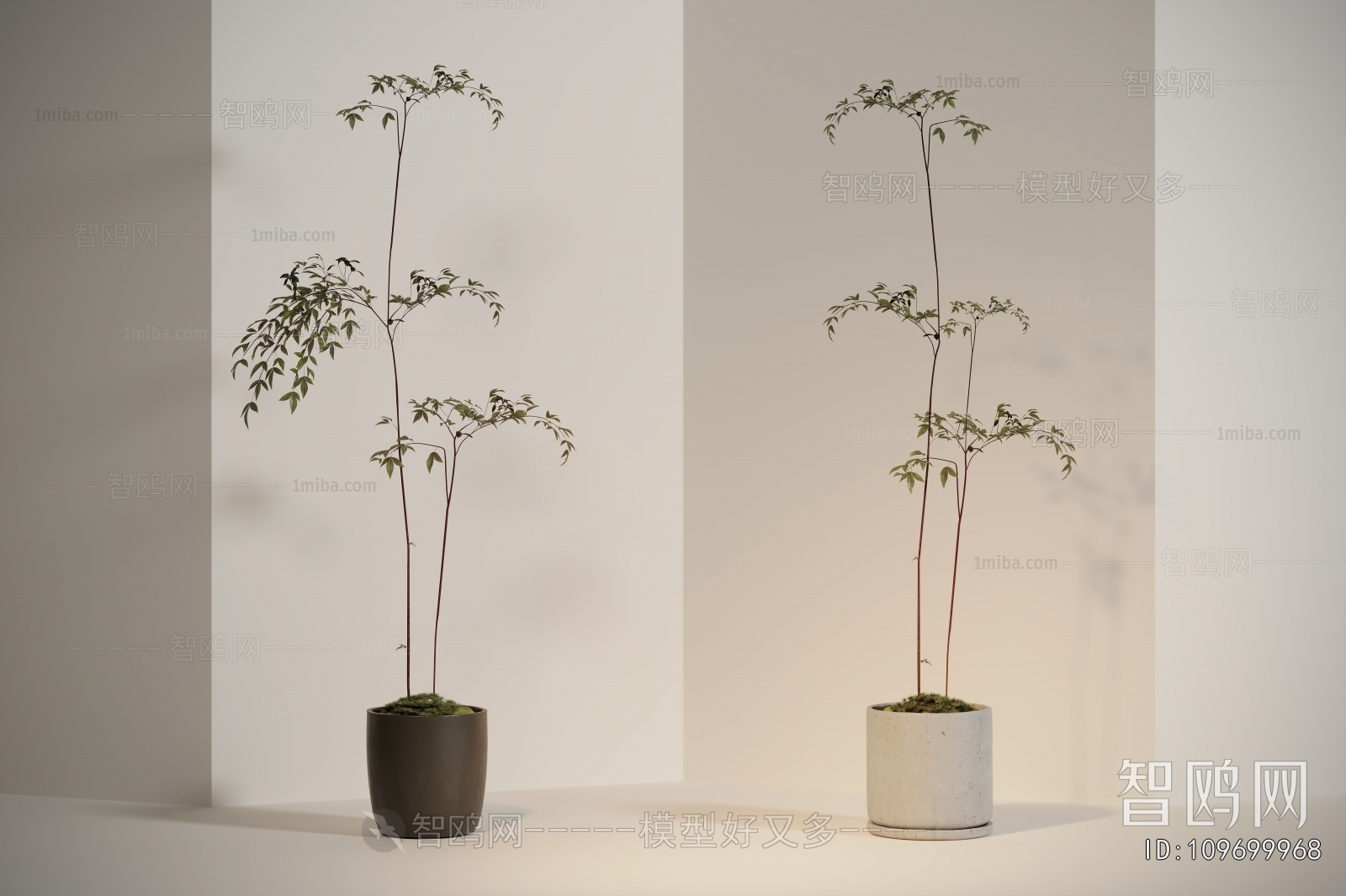 Modern Ground Green Plant Potted Plants