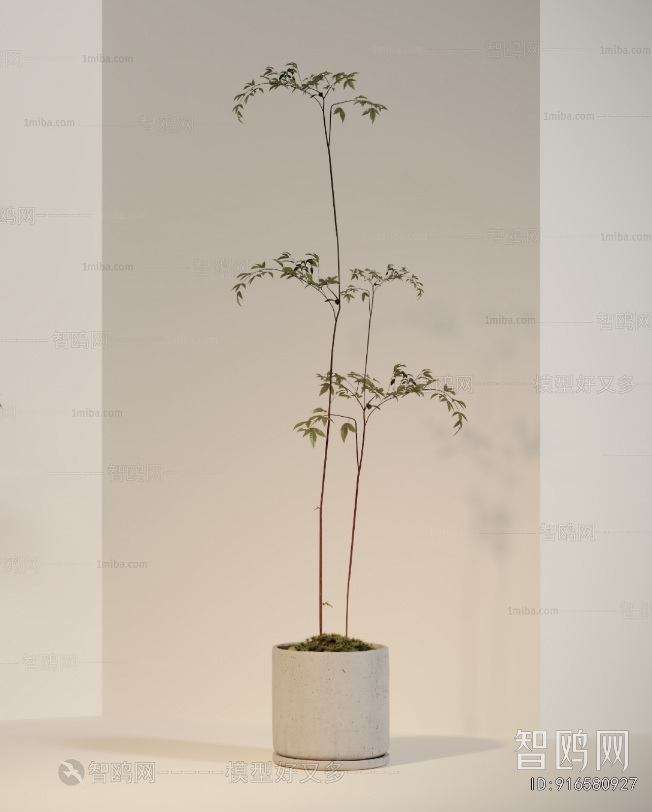 Modern Ground Green Plant Potted Plants