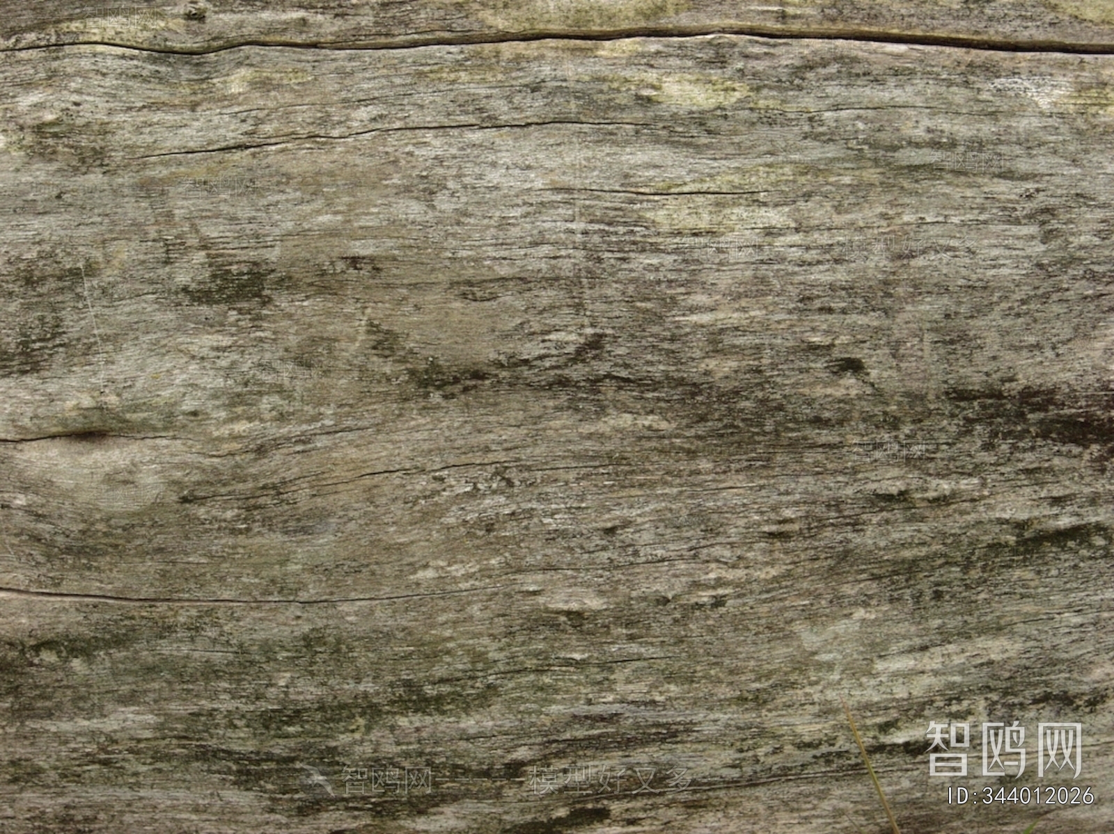 Wood Texture