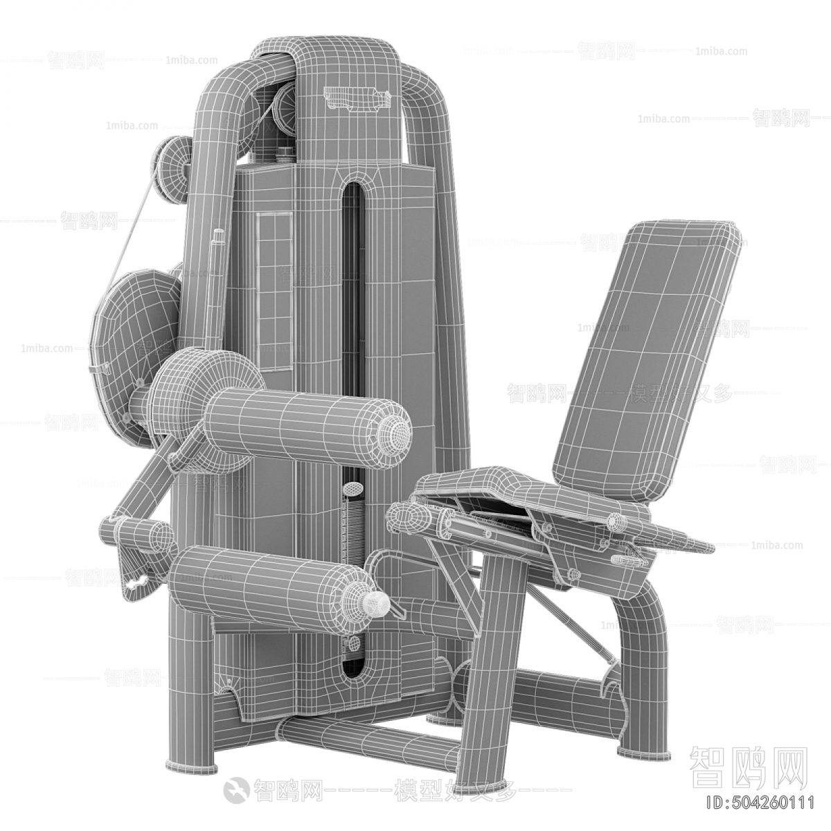 Modern Fitness Equipment