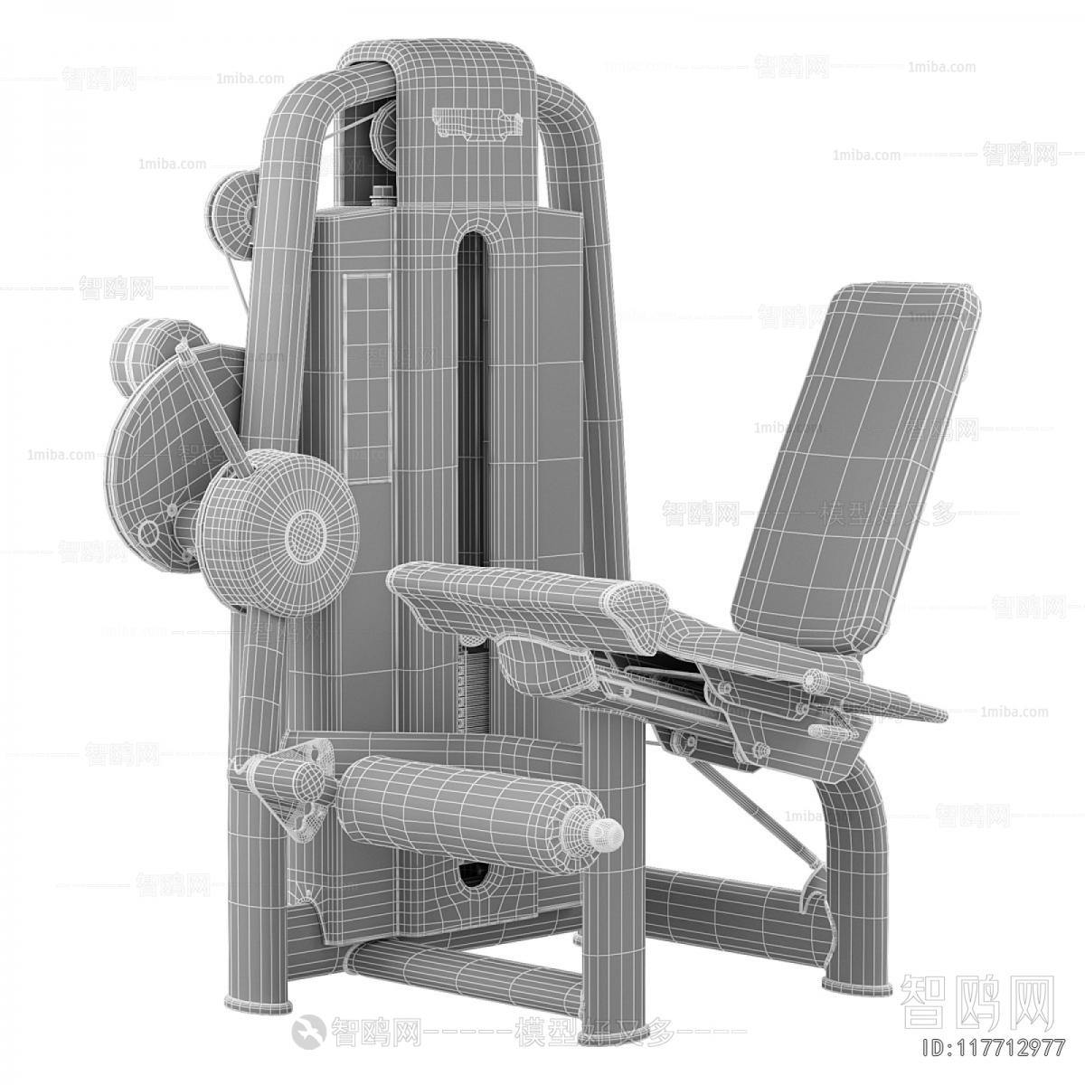 Modern Fitness Equipment