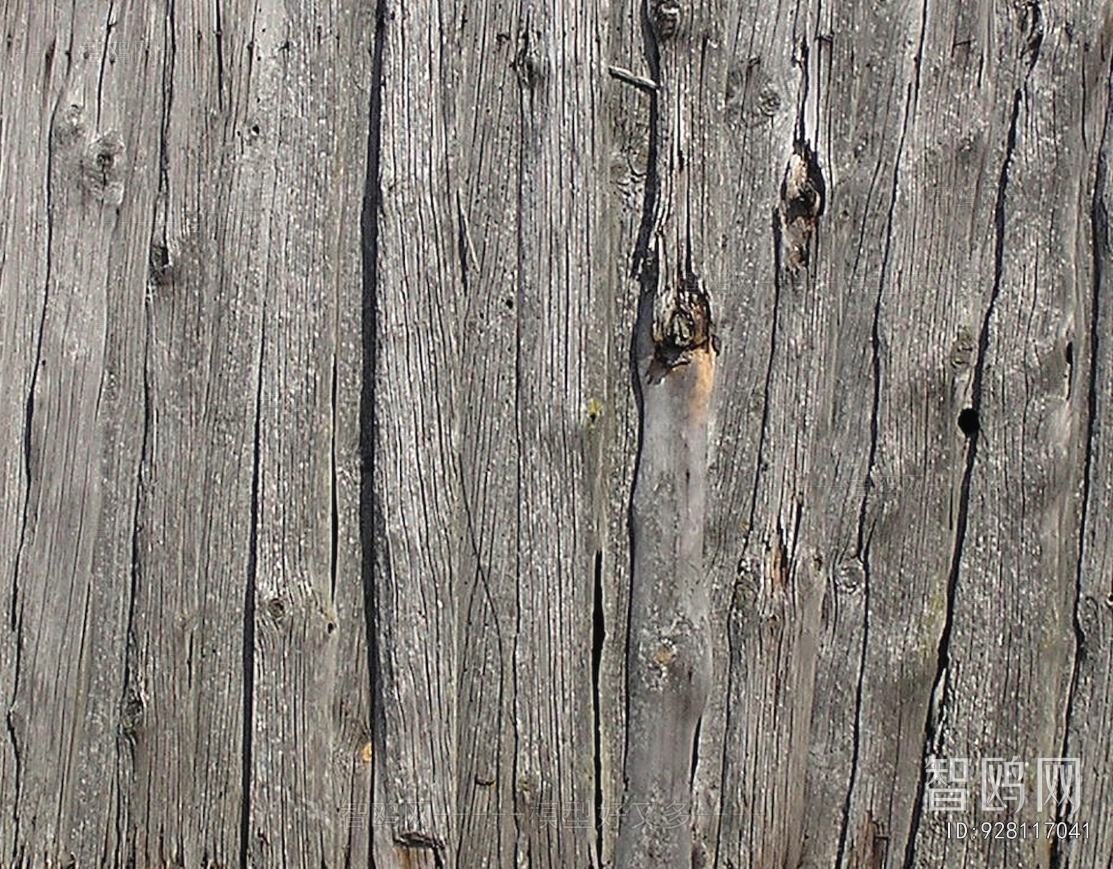 Bark Texture