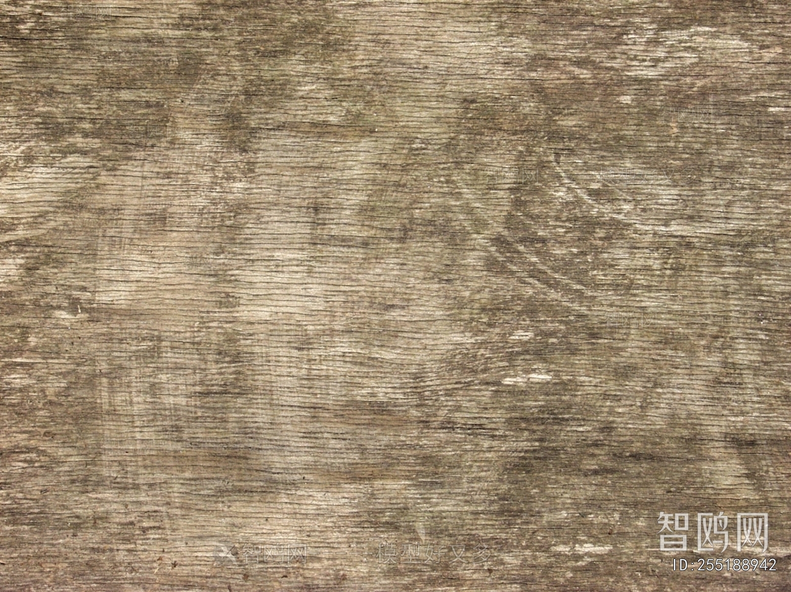Wood Texture