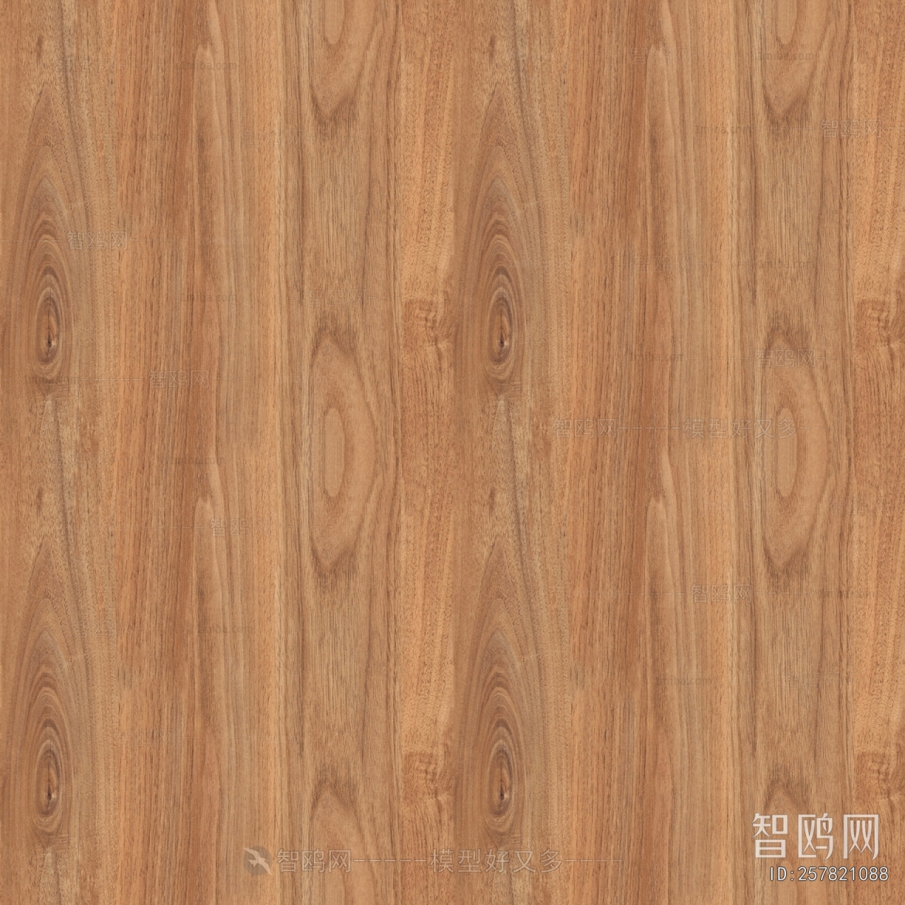 Wood Texture